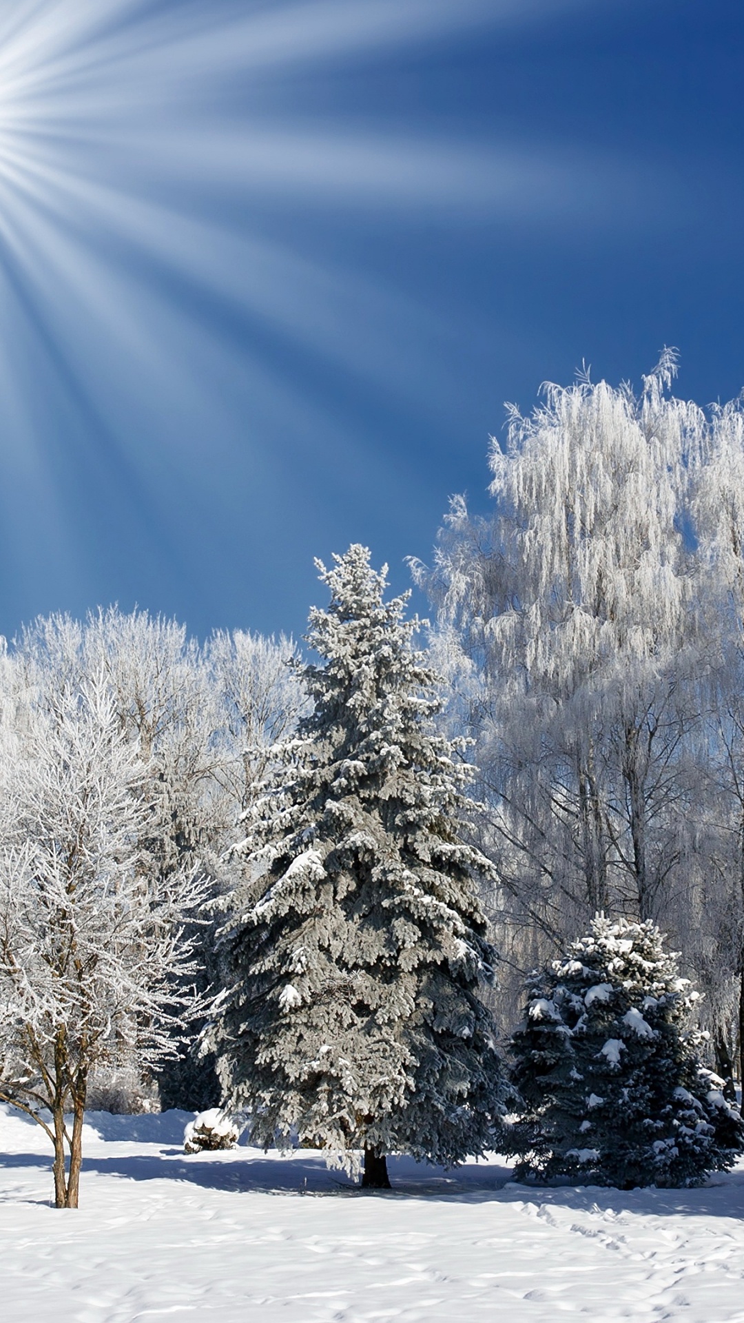 Schneebedeckte Bäume Unter Blauem Himmel Tagsüber. Wallpaper in 1080x1920 Resolution