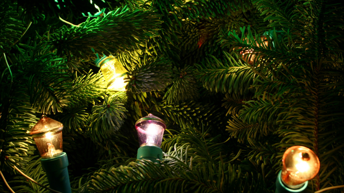 Guirnalda, Linterna, Año, Luces de Navidad, Ecosistema. Wallpaper in 1366x768 Resolution