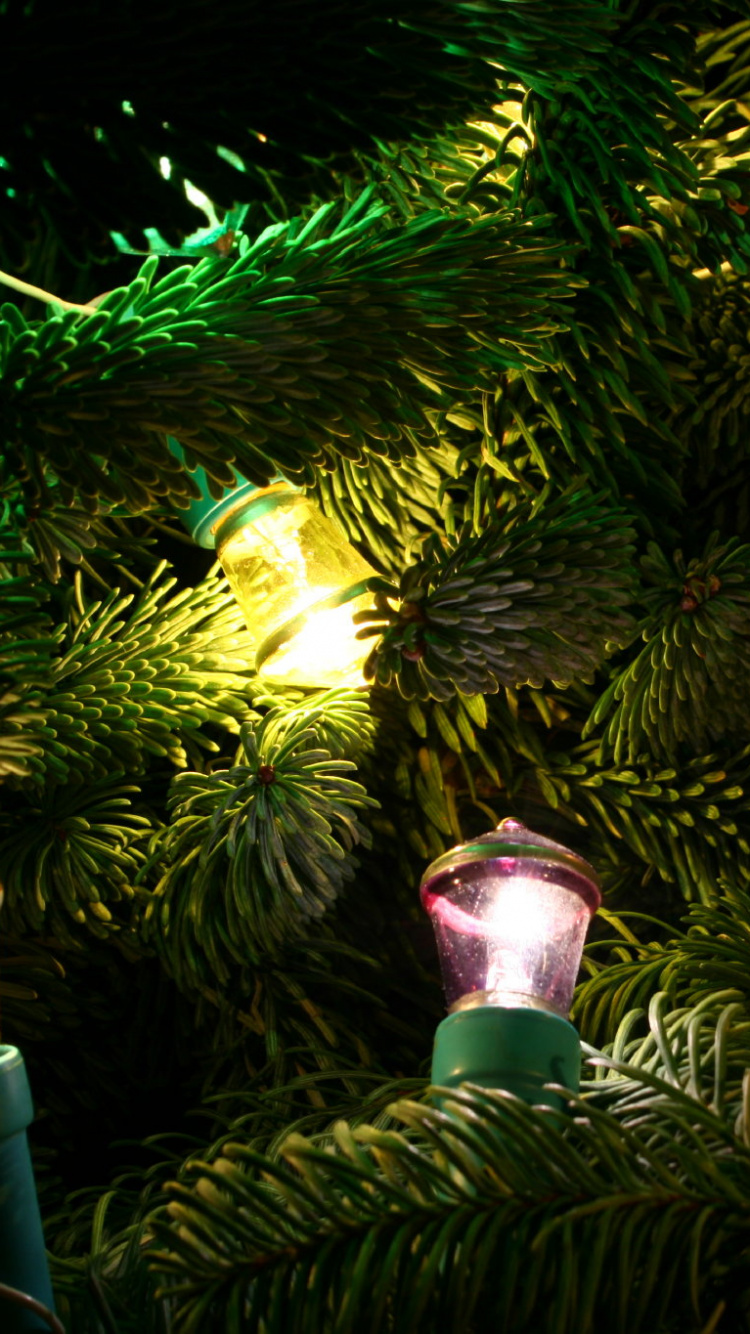 Garland, Fir, 丛林, 手电筒, 年 壁纸 750x1334 允许