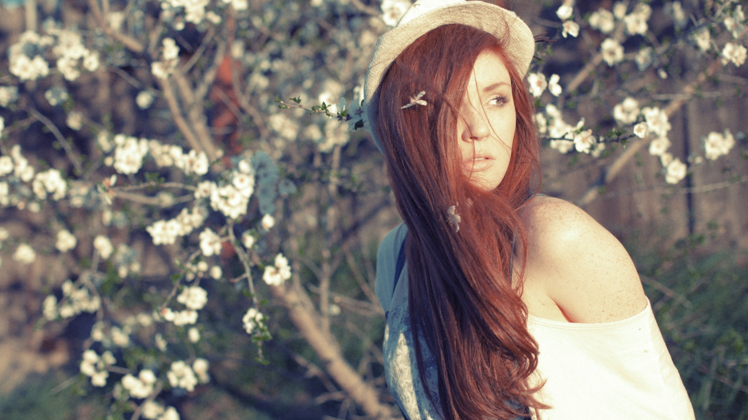 Beauty, Red Hair, Hairstyle, Girl, Tree. Wallpaper in 2560x1440 Resolution