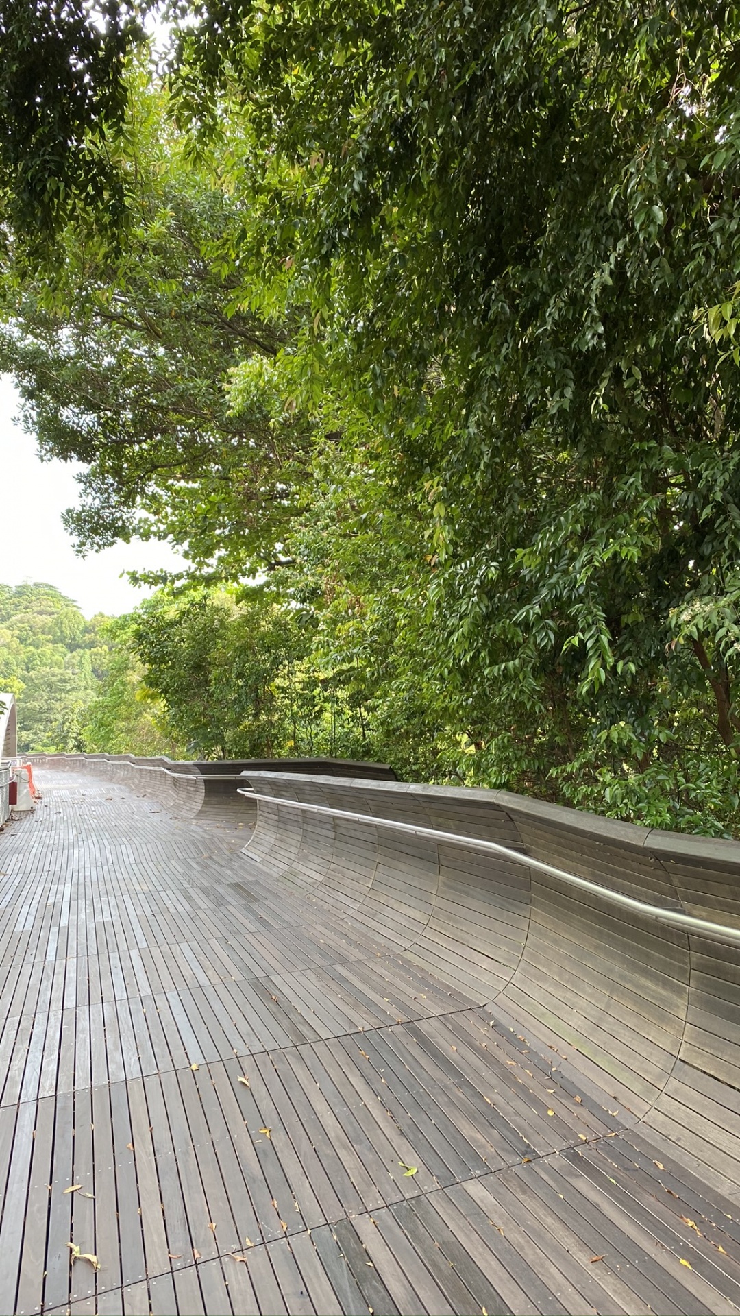 Camino, la Superficie de la Carretera, Madera, de Madera, la Luz Del Sol. Wallpaper in 1080x1920 Resolution