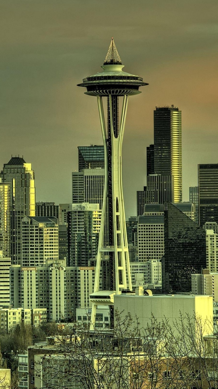 City Skyline During Night Time. Wallpaper in 720x1280 Resolution