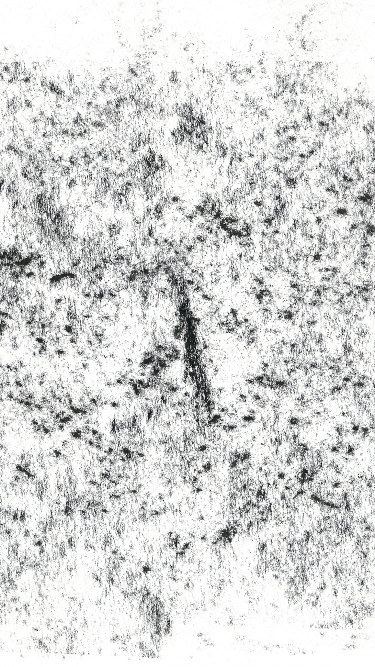 绘画, 纹理, 黑色和白色的, 矢量图形, 单色模式 壁纸 750x1334 允许