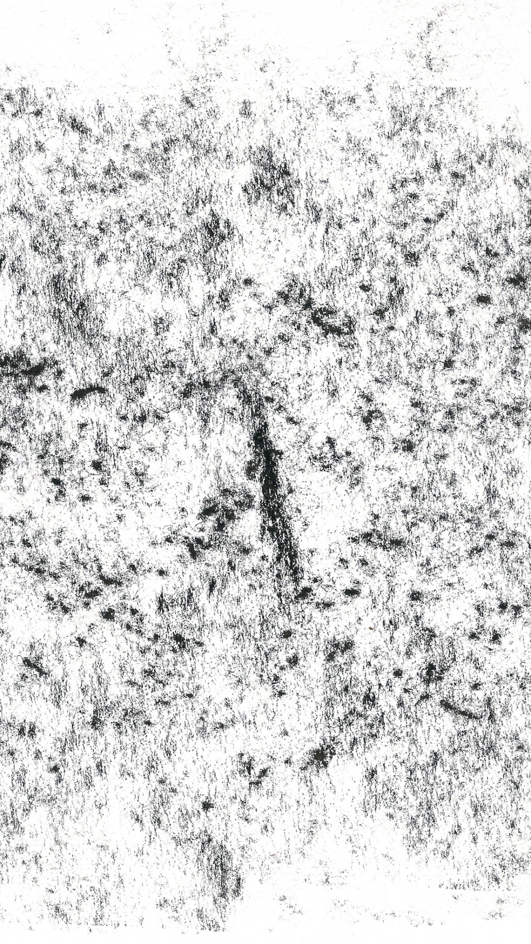 Abstrakte Schwarz-Weiß-Malerei. Wallpaper in 1080x1920 Resolution