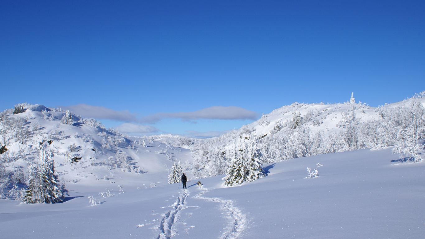 Personne Marchant Sur la Montagne Couverte de Neige Pendant la Journée. Wallpaper in 1366x768 Resolution