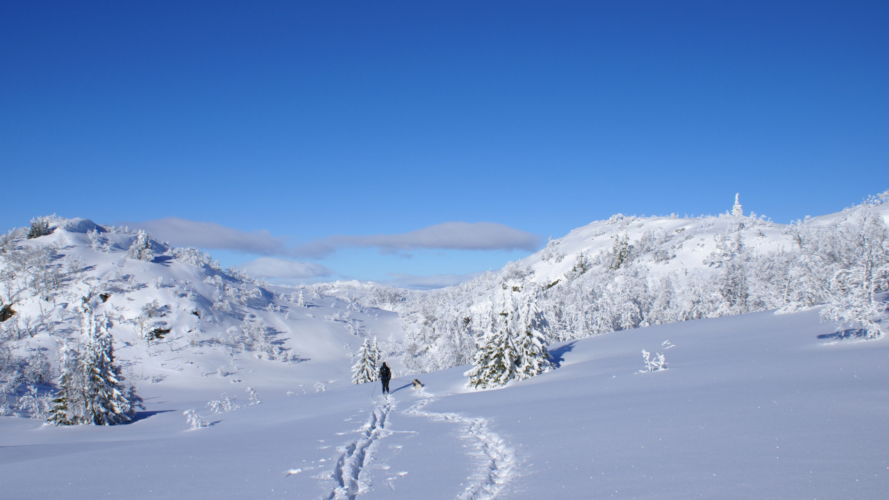 Person, Die Tagsüber Auf Schneebedeckten Bergen Geht. Wallpaper in 1280x720 Resolution