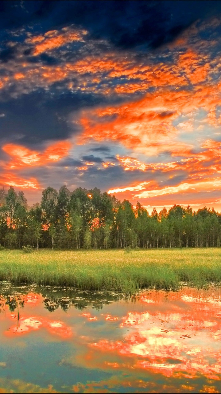 Campo de Hierba Verde Cerca Del Cuerpo de Agua Durante el Día. Wallpaper in 720x1280 Resolution