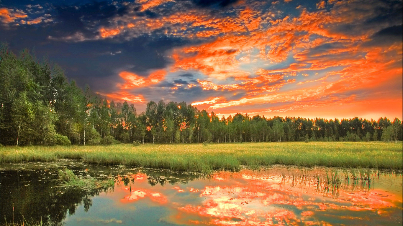 Tagsüber Grüne Wiese in Der Nähe Eines Gewässers Water. Wallpaper in 1366x768 Resolution