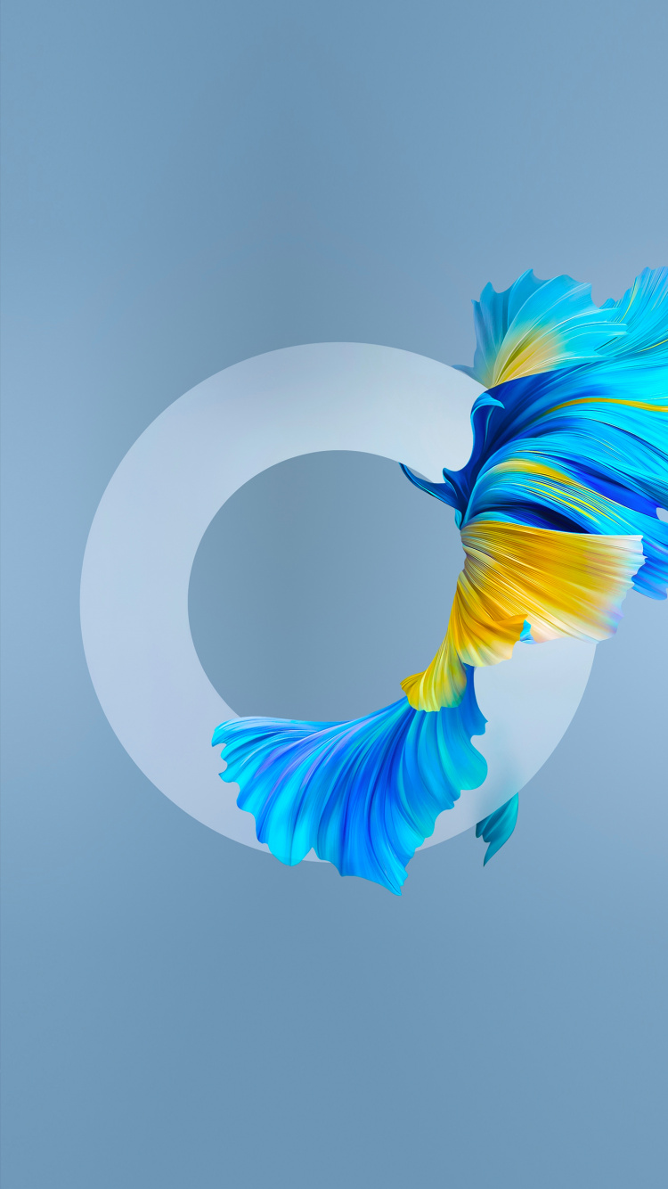 Huawei Mate 40 Pro, Huawei Compagnon 40, Smartphone, Huawei, Huawei Porsche Design Mate Rs. Wallpaper in 750x1334 Resolution