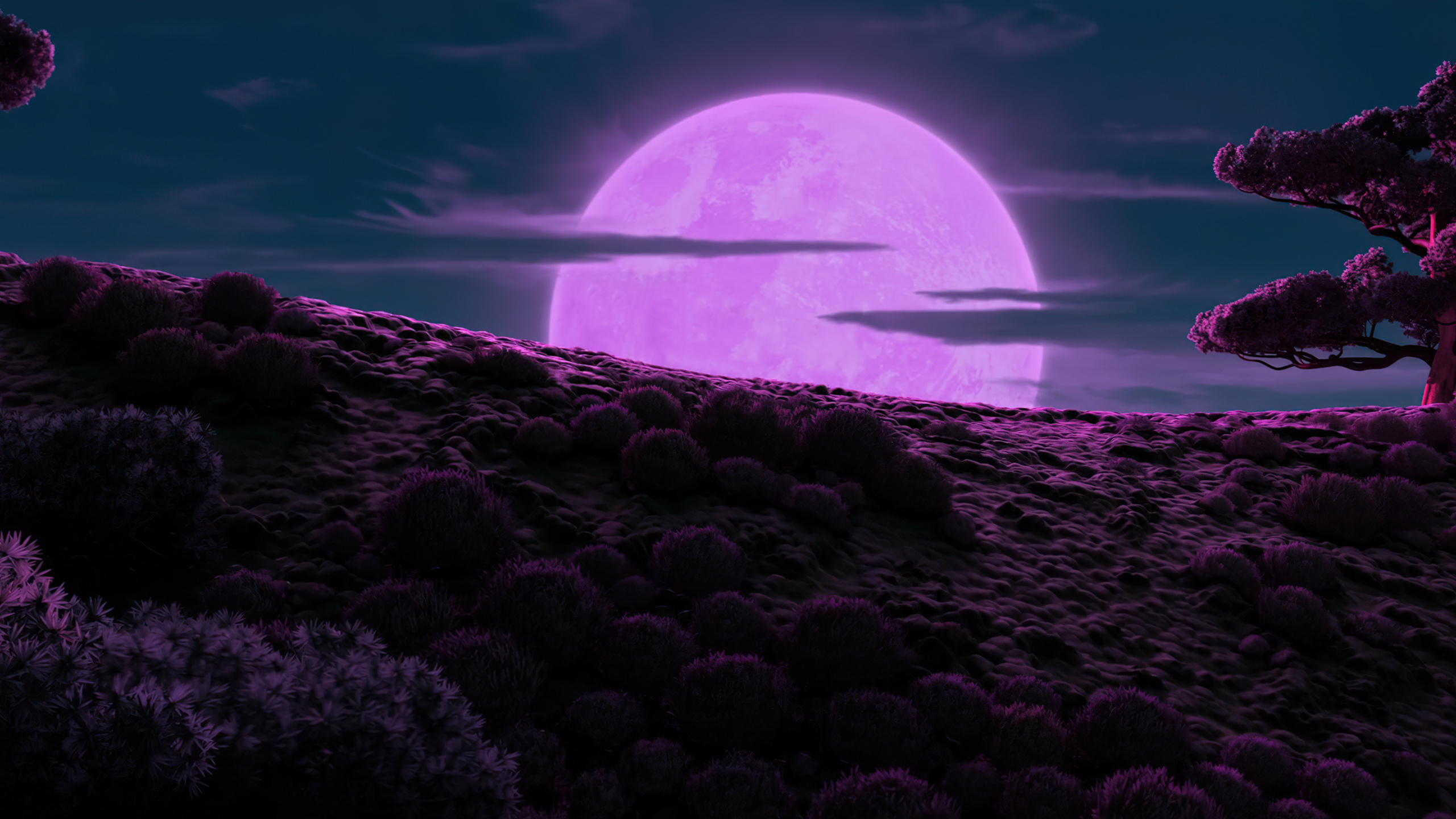 Maître Shifu, Animation DreamWorks, Panda, Atmosphère, Eau. Wallpaper in 2560x1440 Resolution