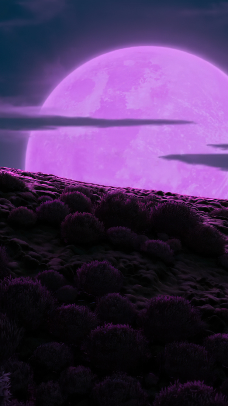 Maître Shifu, Animation DreamWorks, Panda, Atmosphère, Eau. Wallpaper in 750x1334 Resolution