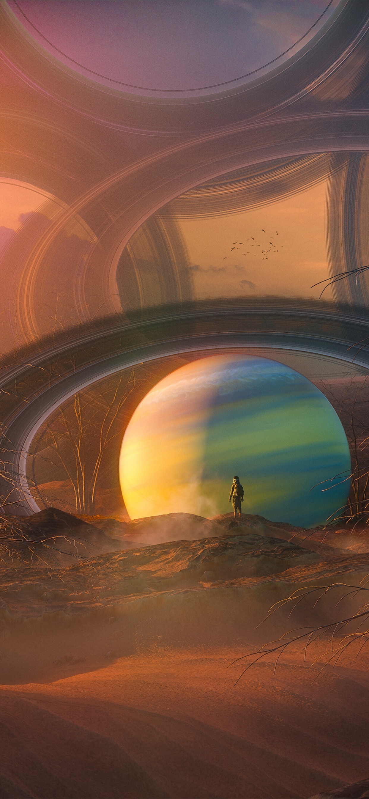 Homme Debout Sur un Champ Brun Pendant la Journée. Wallpaper in 1242x2688 Resolution