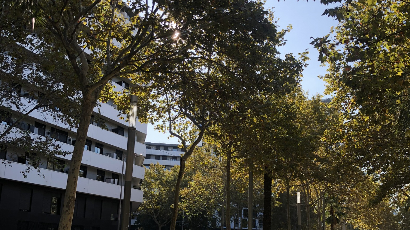 L'espace Public, Plantes Ligneuses, de Teintes et de Nuances, Design Urbain, Ombre. Wallpaper in 1366x768 Resolution