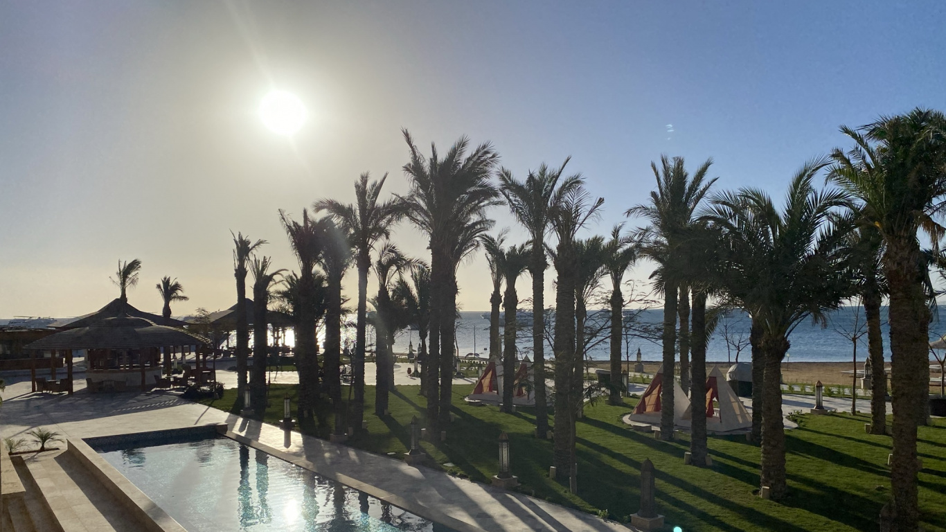 Palme, Pool, Wasser, Natur, Baum. Wallpaper in 1366x768 Resolution