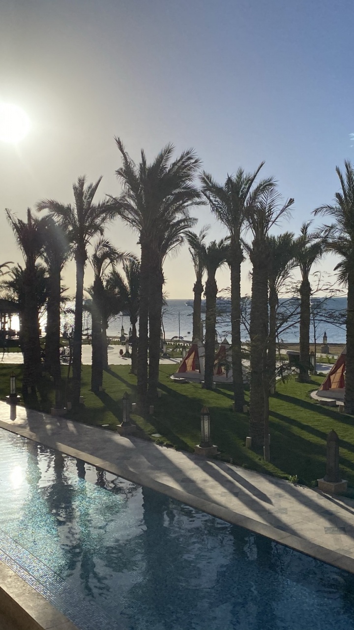 Palmier, Eau, Nature, Corps de L'eau, Loisir. Wallpaper in 720x1280 Resolution