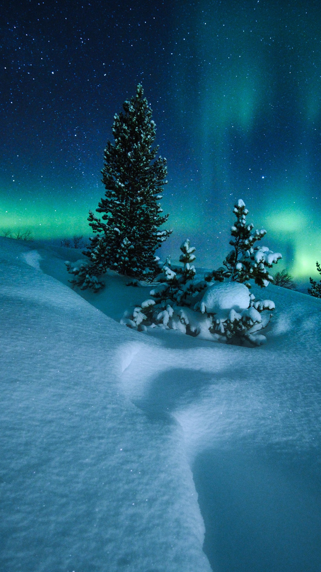 Polarkreis, Aurora, Schnee, Natur, Winter. Wallpaper in 1080x1920 Resolution