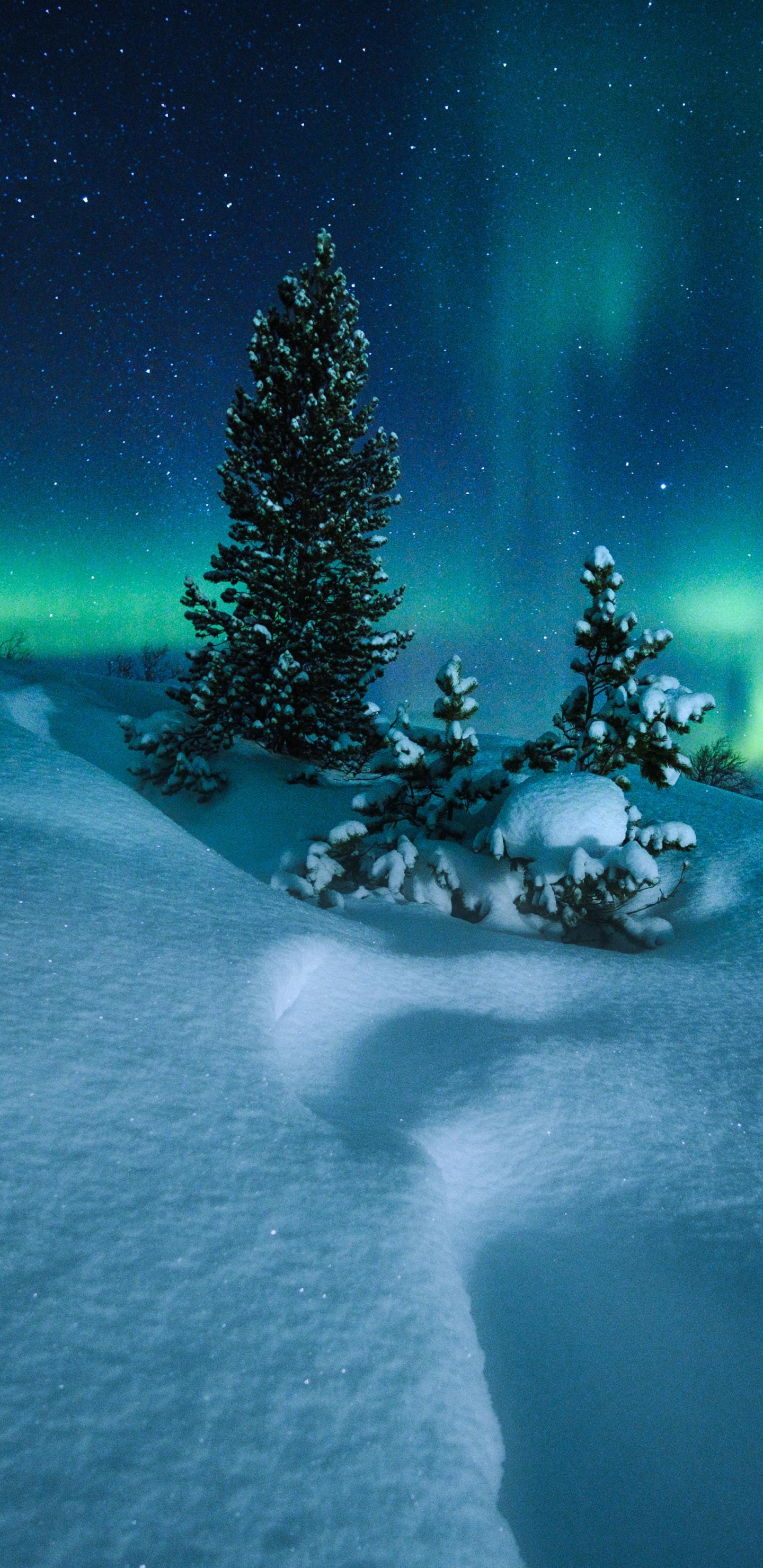 Arctic Circle, Aurora, Snow, Nature, Winter. Wallpaper in 1440x2960 Resolution