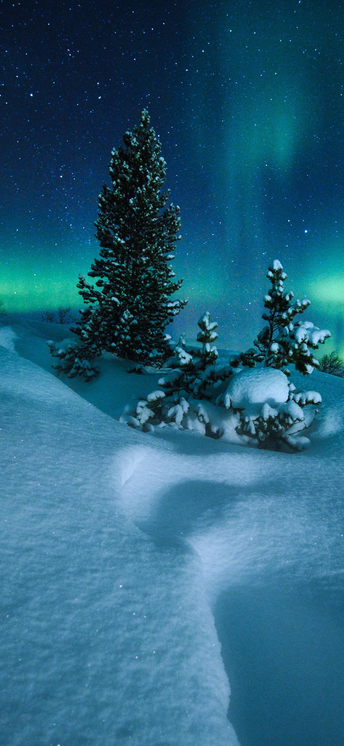 Cercle Arctique, Aurora, Neige, Nature, Hiver. Wallpaper in 1125x2436 Resolution