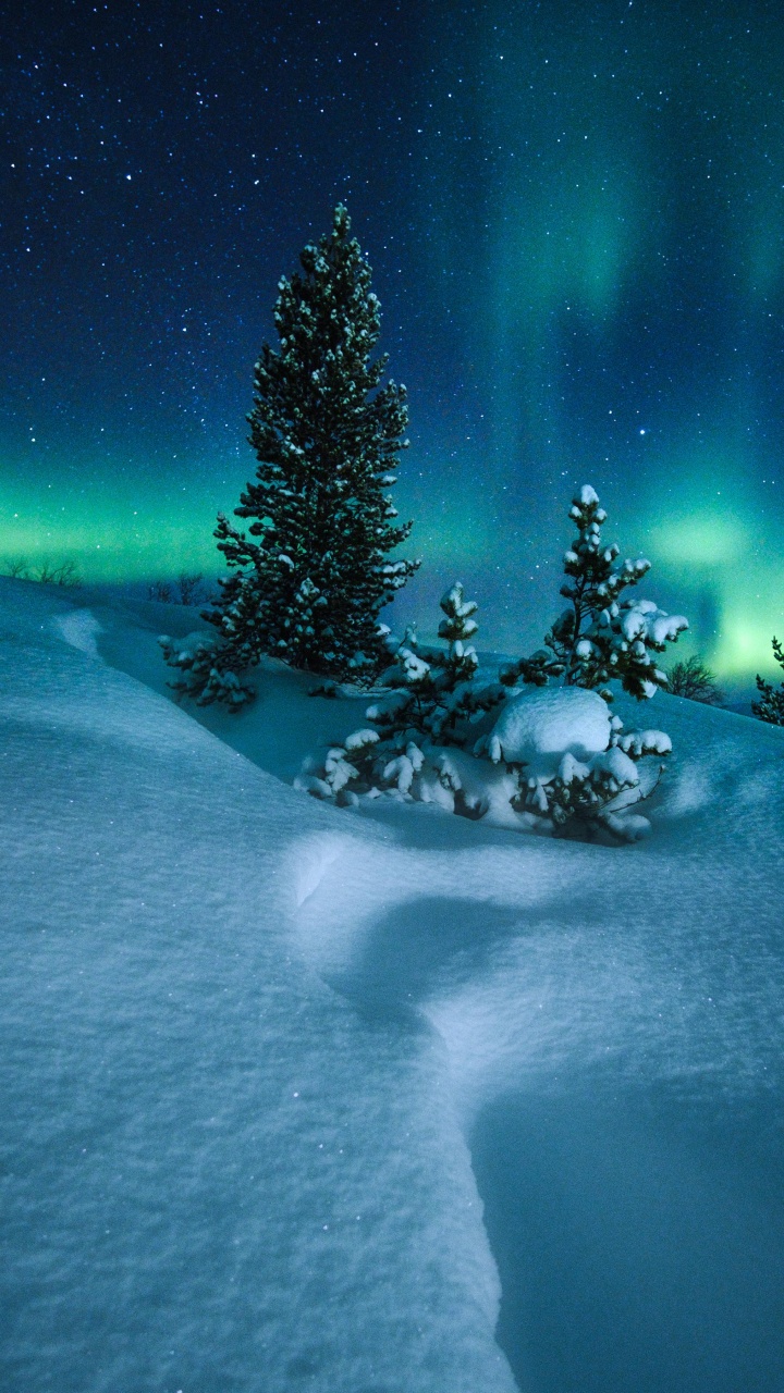 Cercle Arctique, Aurora, Neige, Nature, Hiver. Wallpaper in 720x1280 Resolution