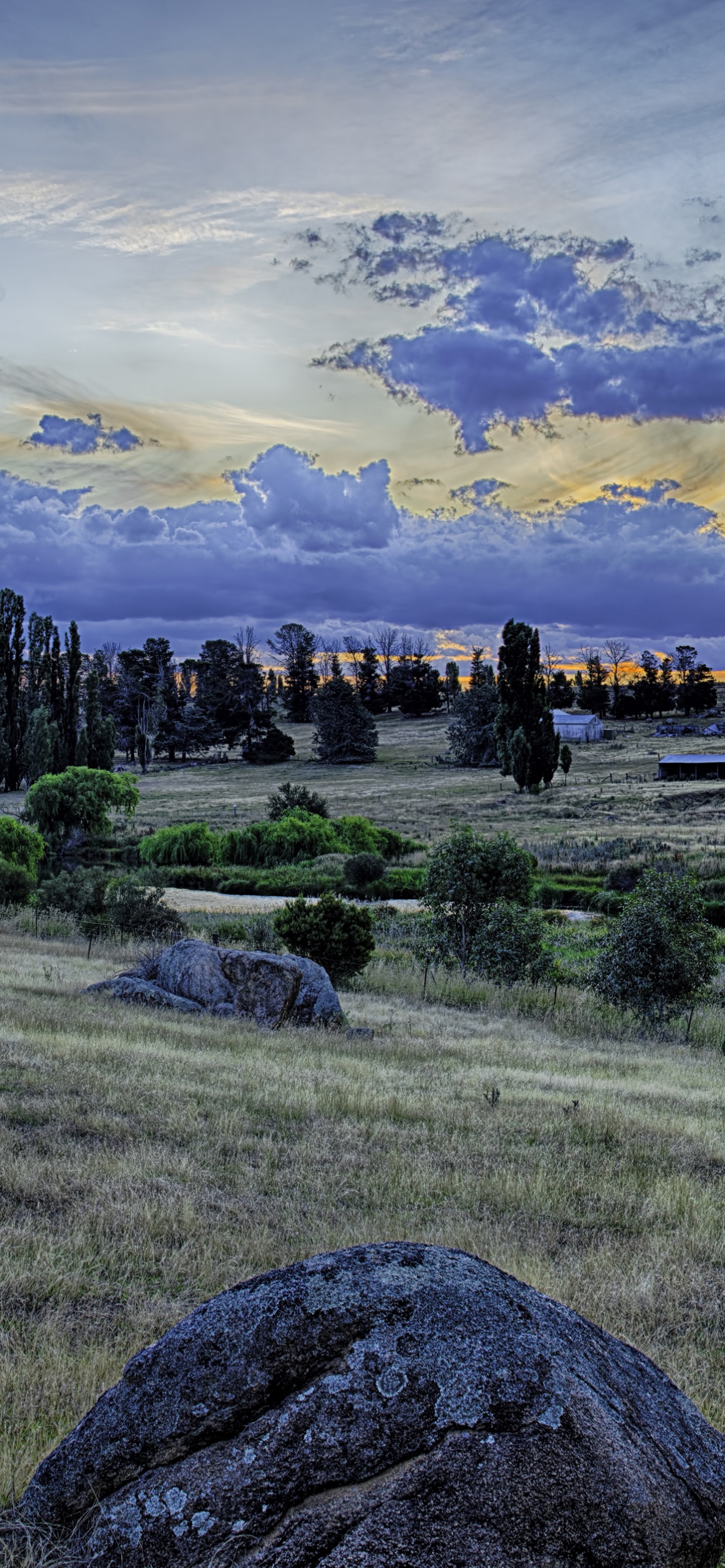 Campo de Hierba Verde Bajo un Cielo Azul Durante el Día. Wallpaper in 1242x2688 Resolution