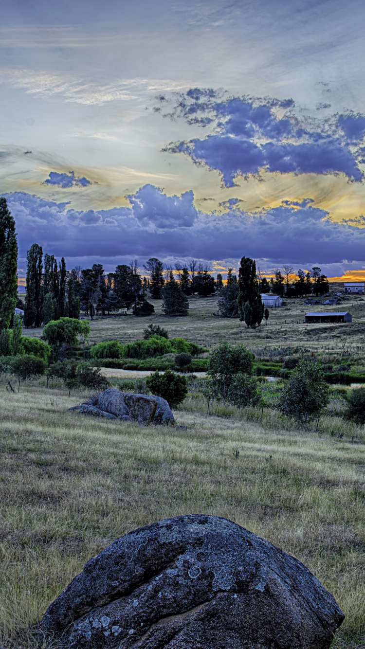 Campo de Hierba Verde Bajo un Cielo Azul Durante el Día. Wallpaper in 750x1334 Resolution