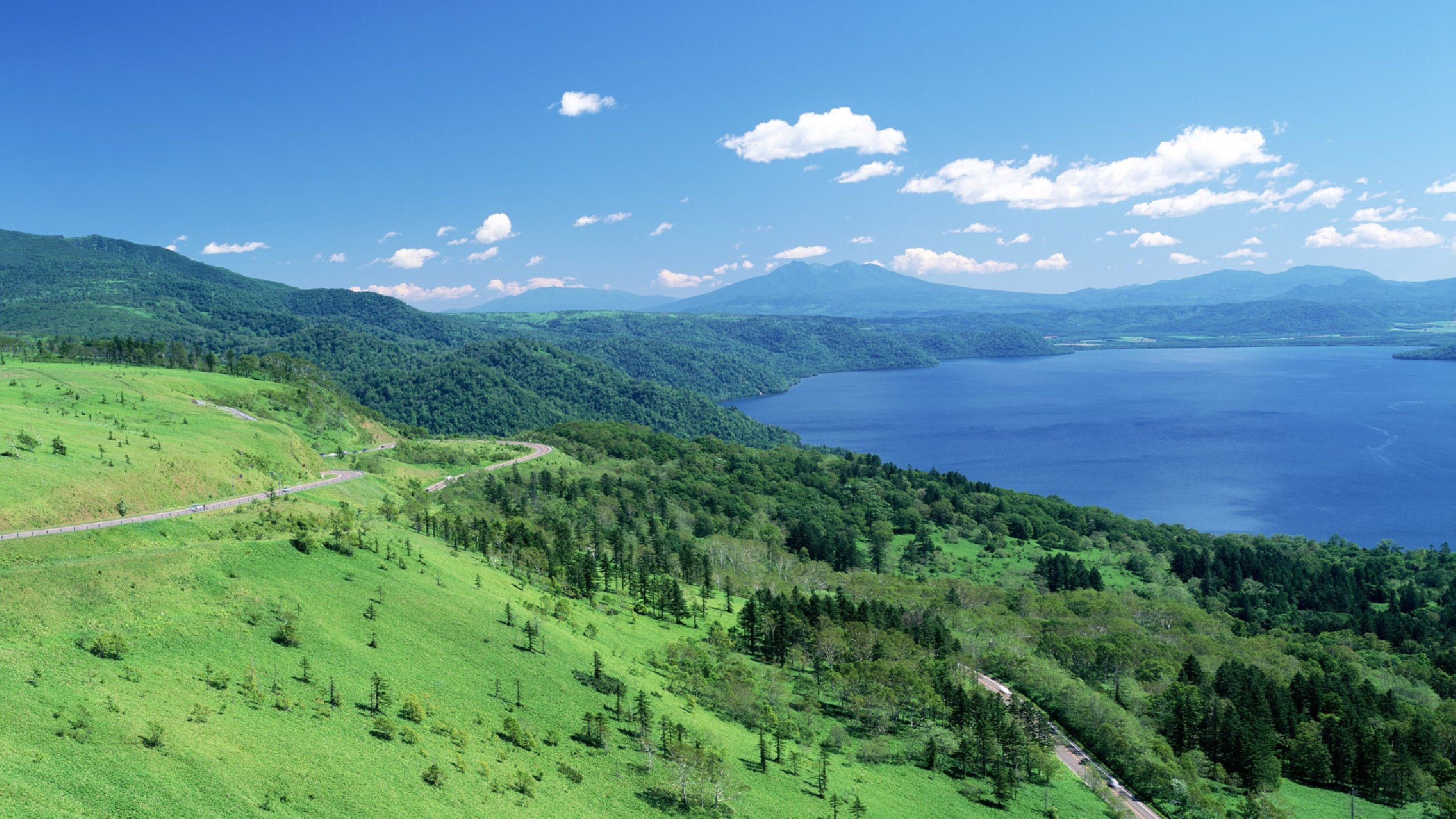 Green Grass Field Near Body of Water During Daytime. Wallpaper in 2560x1440 Resolution