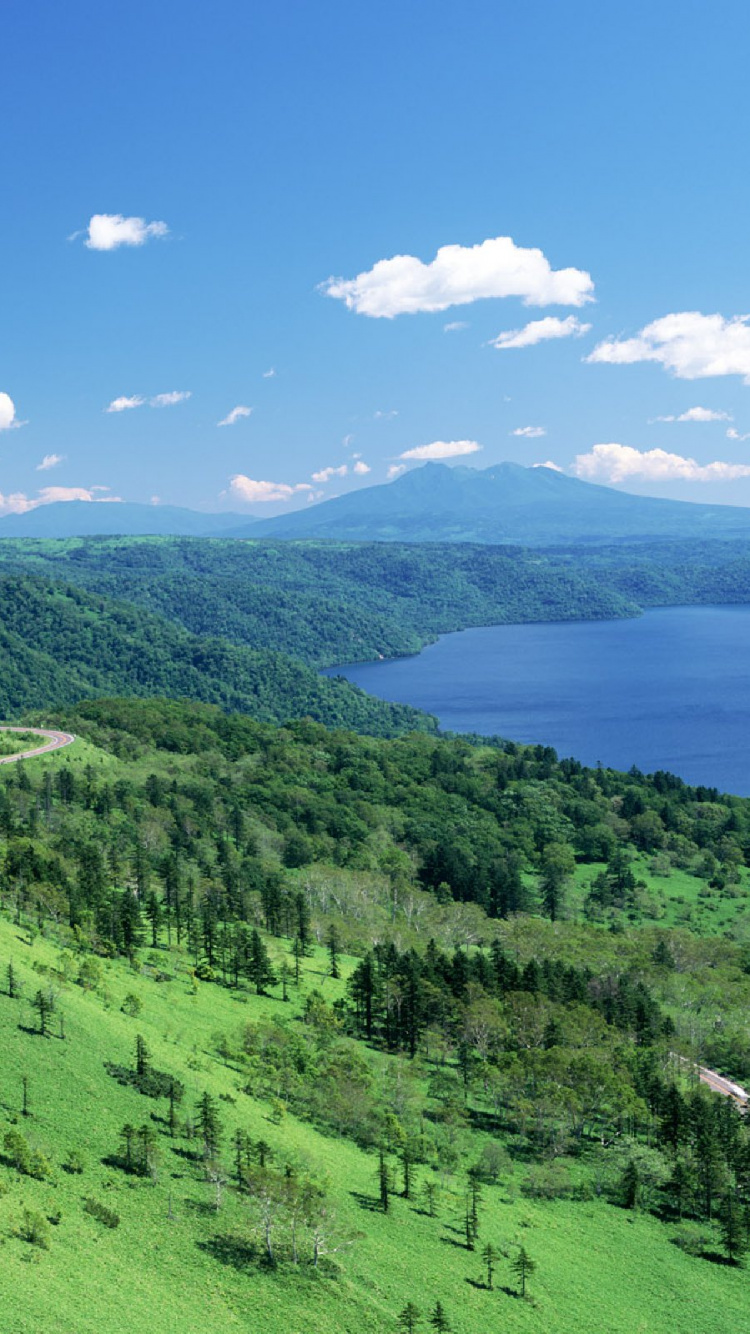 Green Grass Field Near Body of Water During Daytime. Wallpaper in 750x1334 Resolution