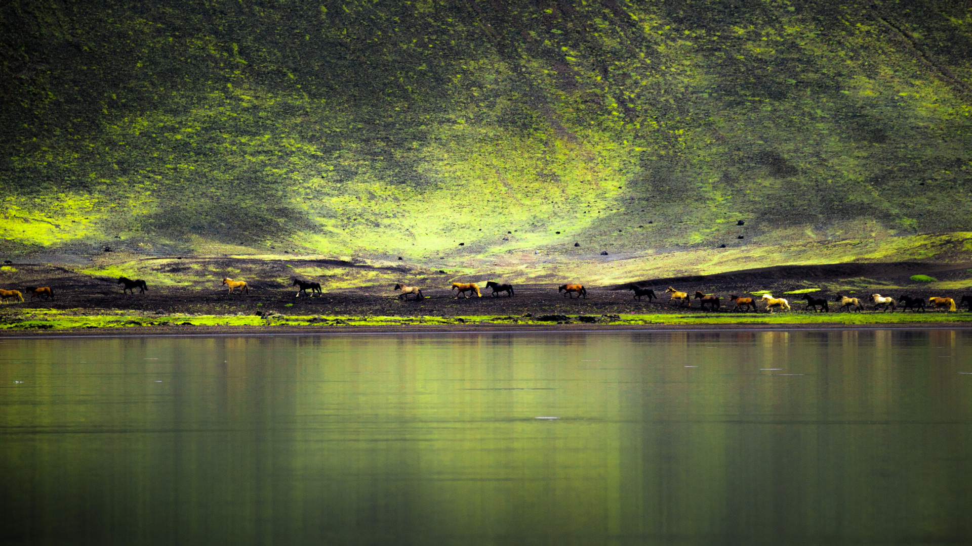 Verde, Naturaleza, Agua, Reflexión, Luz. Wallpaper in 1920x1080 Resolution