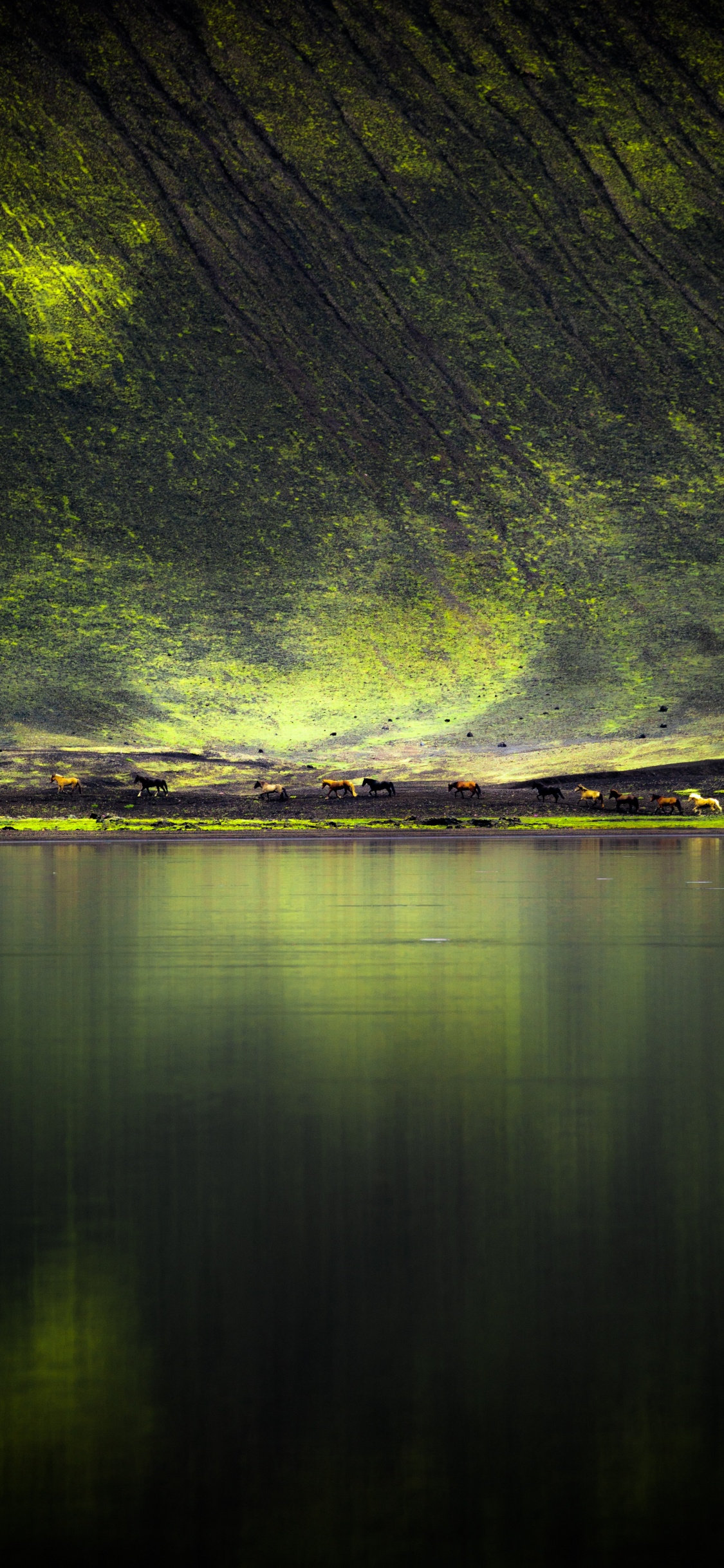 Gr, Natur, Wasser, Reflexion, Licht. Wallpaper in 1125x2436 Resolution