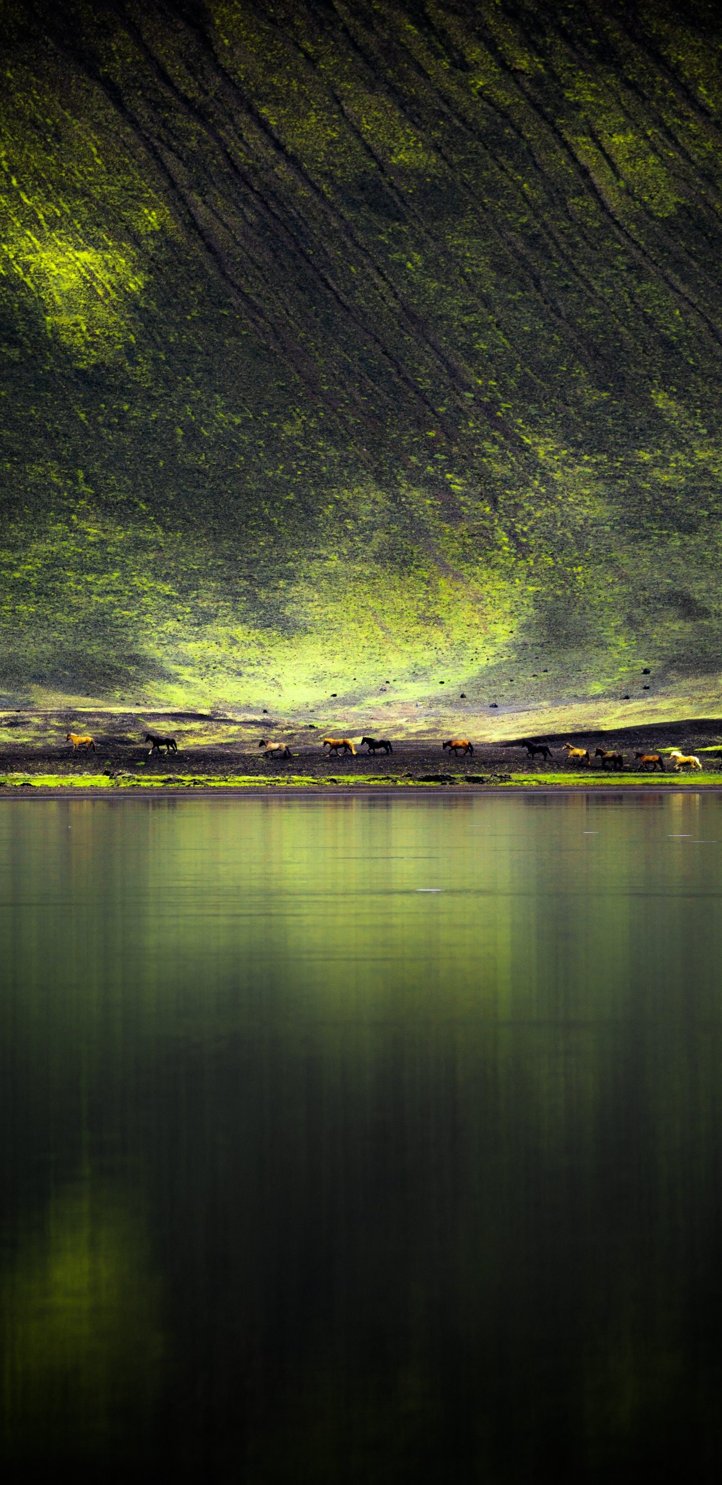 Gr, Natur, Wasser, Reflexion, Licht. Wallpaper in 1440x2960 Resolution