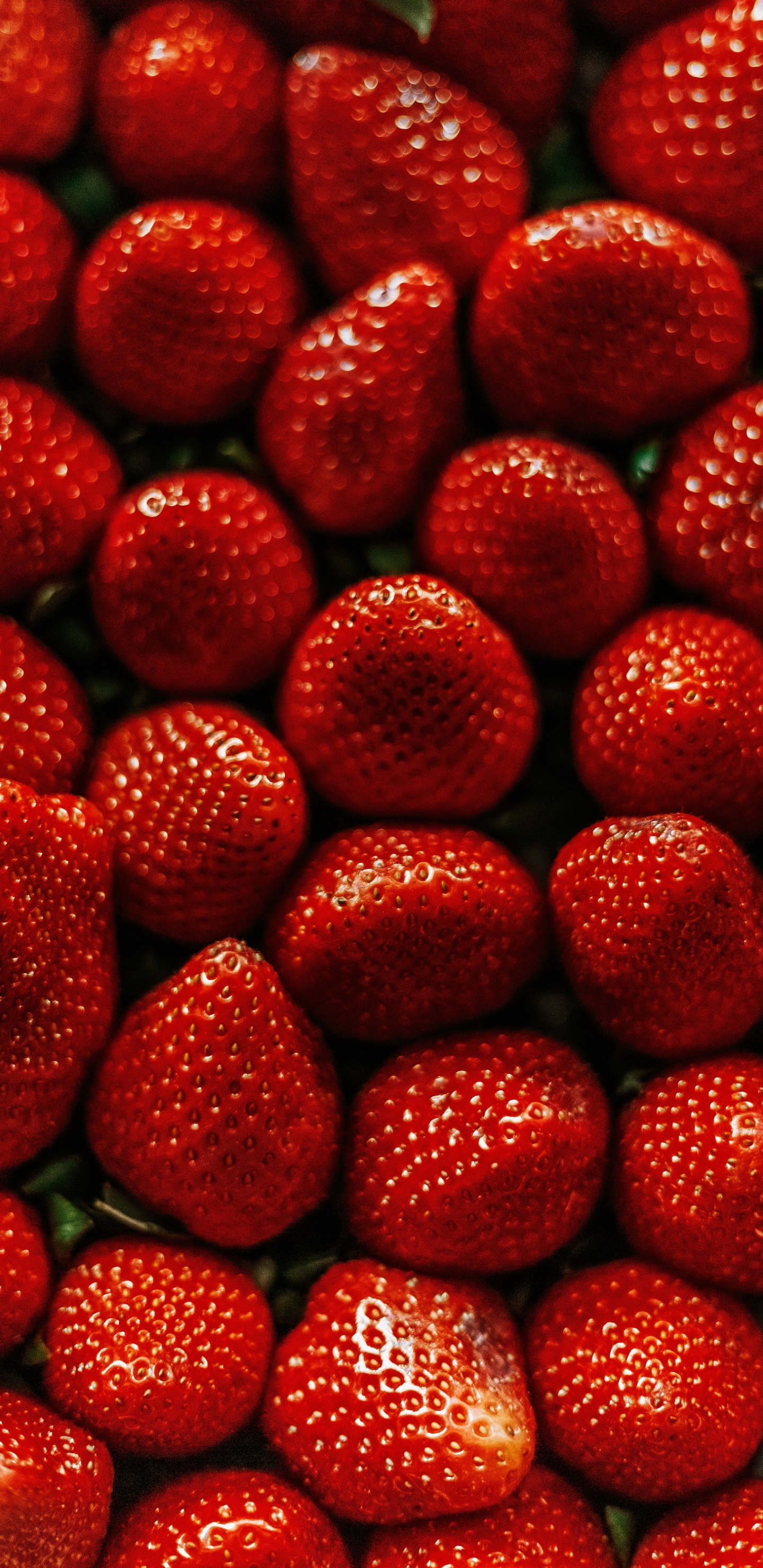 面包店, 糕点, 食品, 光, 成分 壁纸 1440x2960 允许