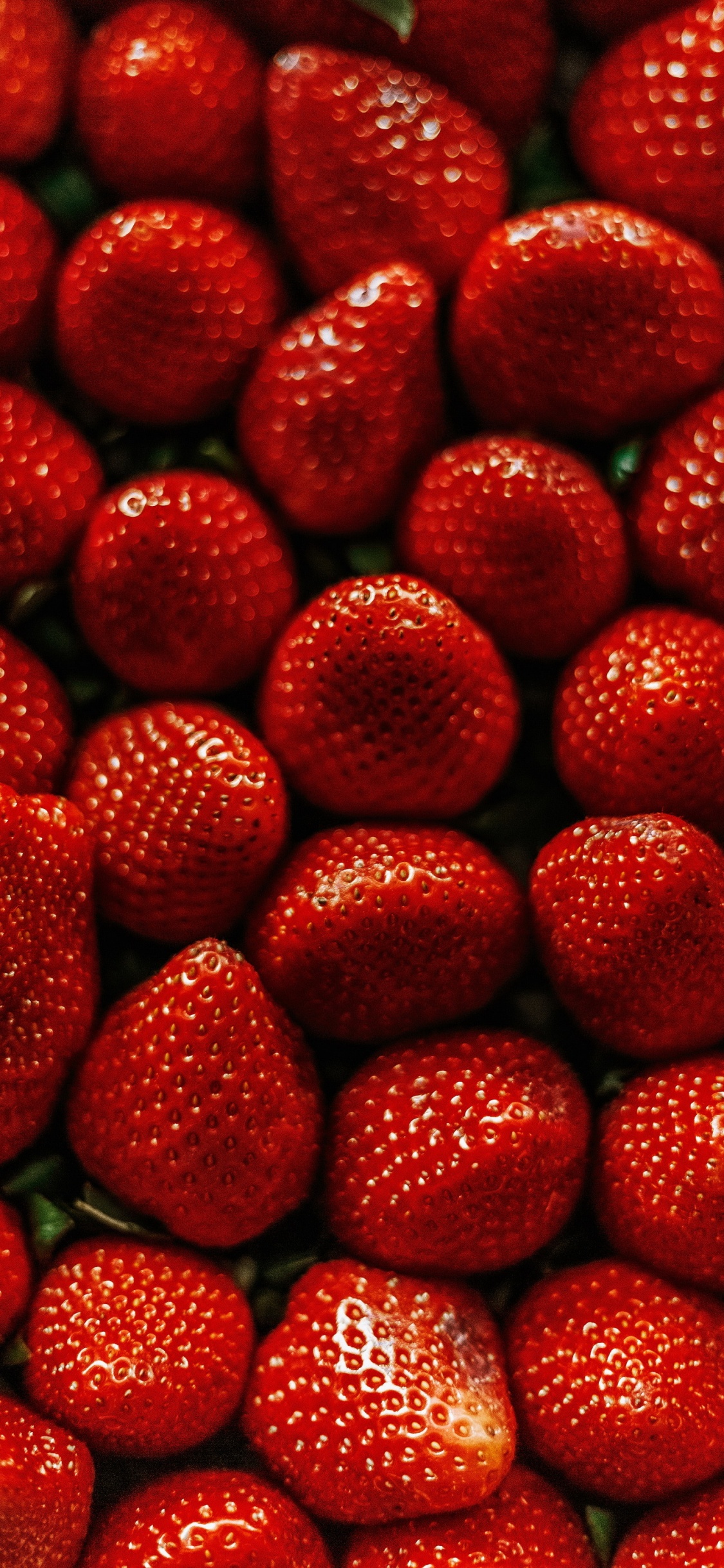 Strawberry, Cake, Strawberry Mango Smoothie, Bakery, Pectin for Jam. Wallpaper in 1125x2436 Resolution