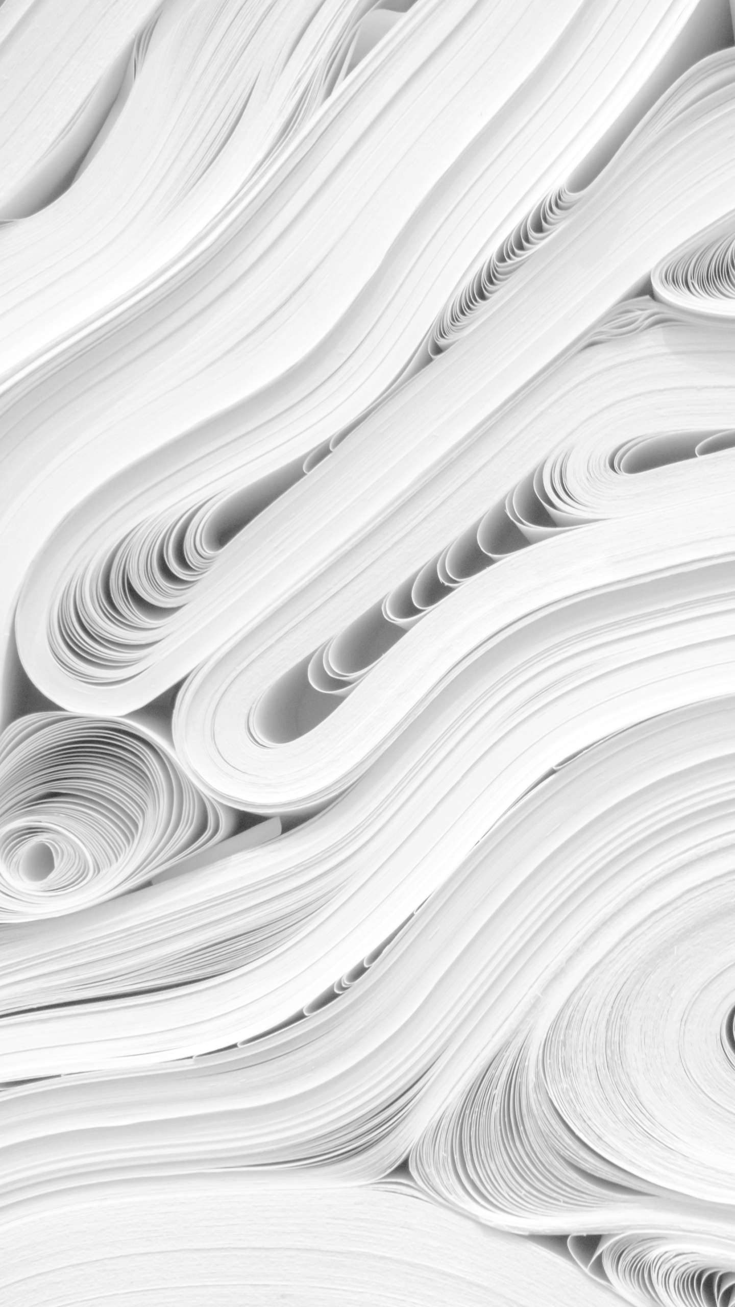 White, Ligne, Conception, Monochrome, Calligraphie. Wallpaper in 1440x2560 Resolution