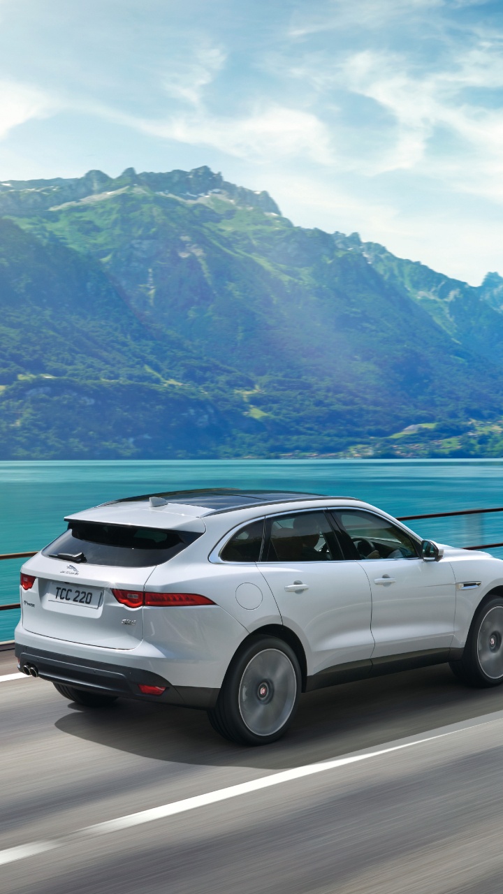 Suv Blanco en la Carretera Cerca Del Cuerpo de Agua Durante el Día. Wallpaper in 720x1280 Resolution