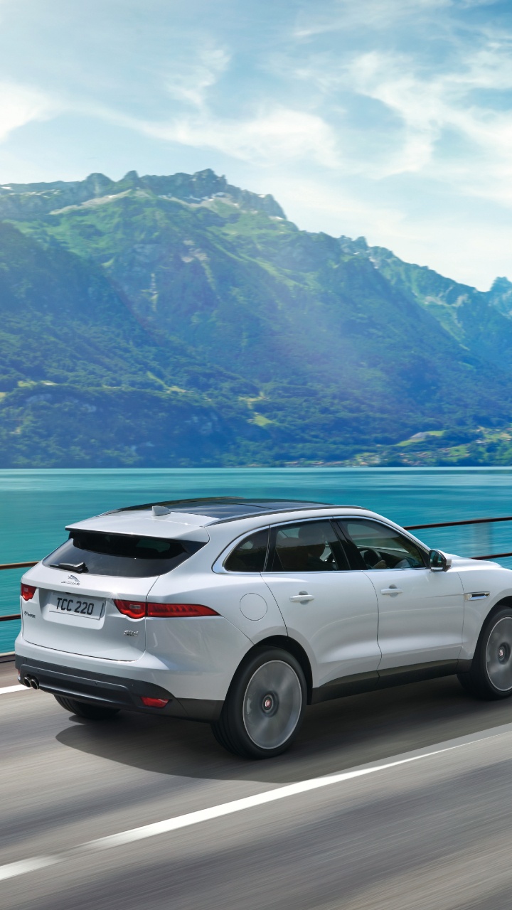 White Suv on Road Near Body of Water During Daytime. Wallpaper in 720x1280 Resolution