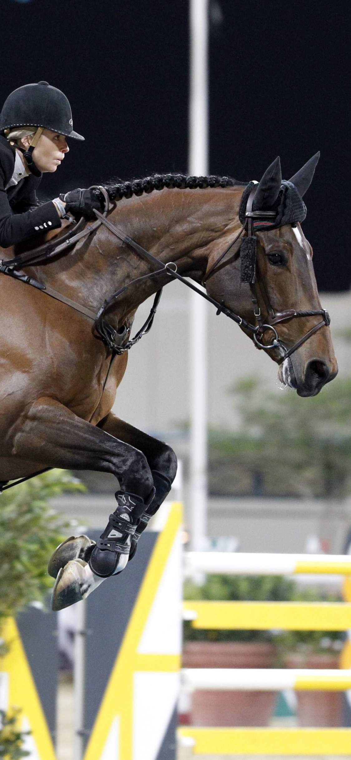 L'homme en Blouson de Cuir Noir Équitation Cheval Brun Pendant la Journée. Wallpaper in 1125x2436 Resolution