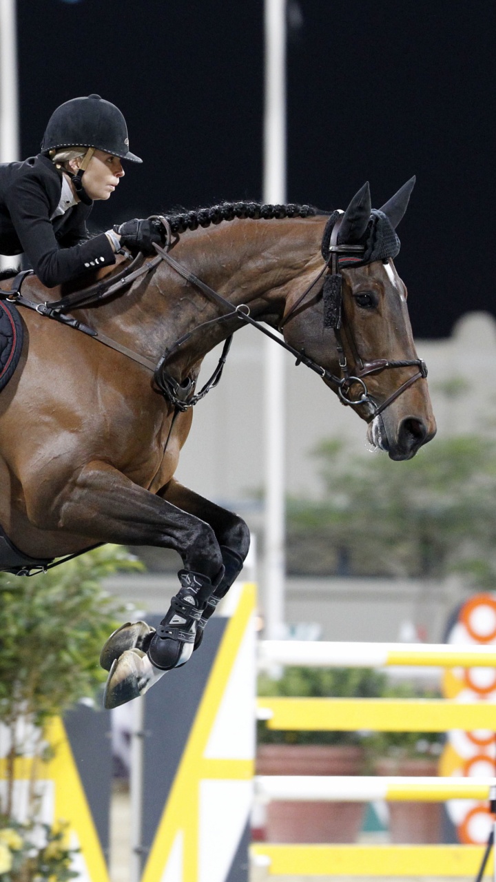 L'homme en Blouson de Cuir Noir Équitation Cheval Brun Pendant la Journée. Wallpaper in 720x1280 Resolution