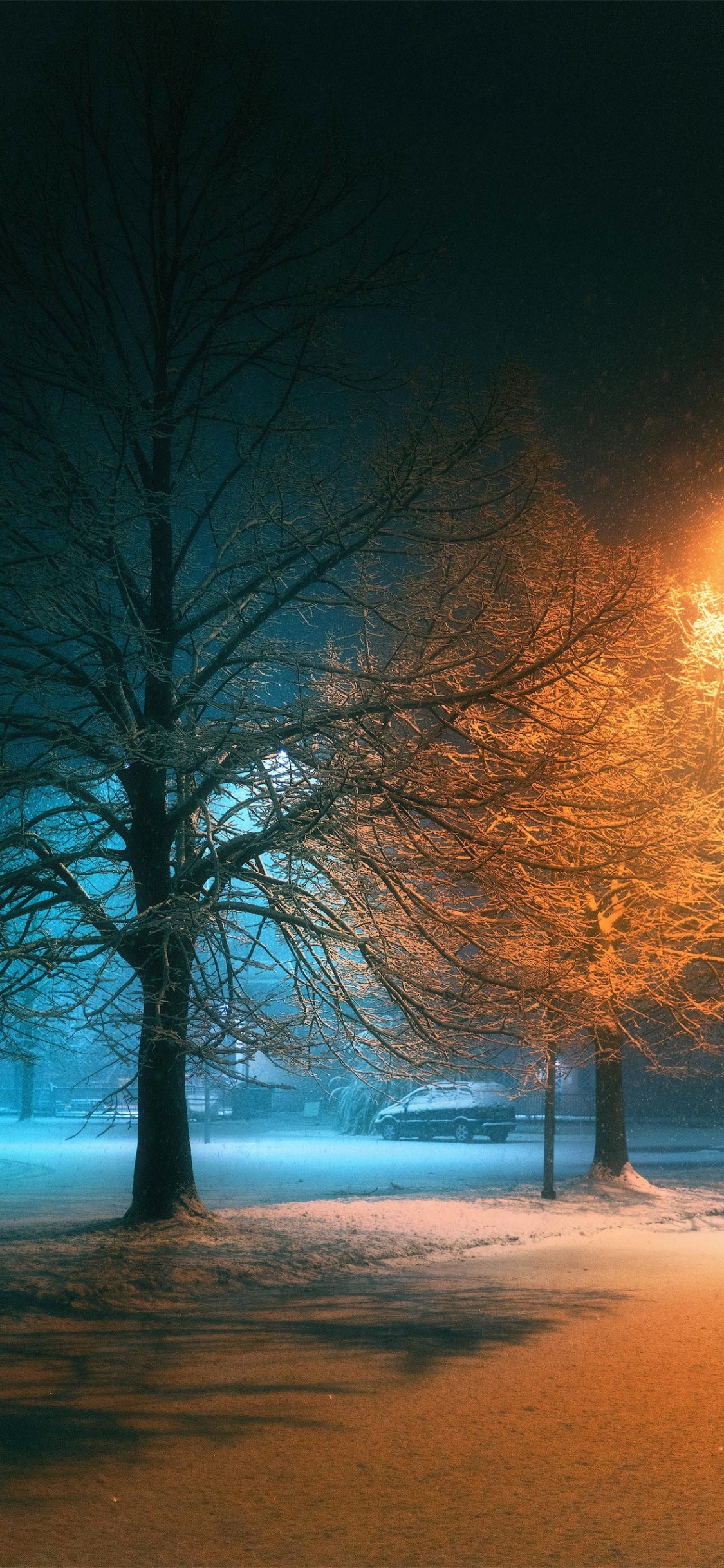 Nature, Lighting, Atmosphere, Plant, Natural Landscape. Wallpaper in 1125x2436 Resolution