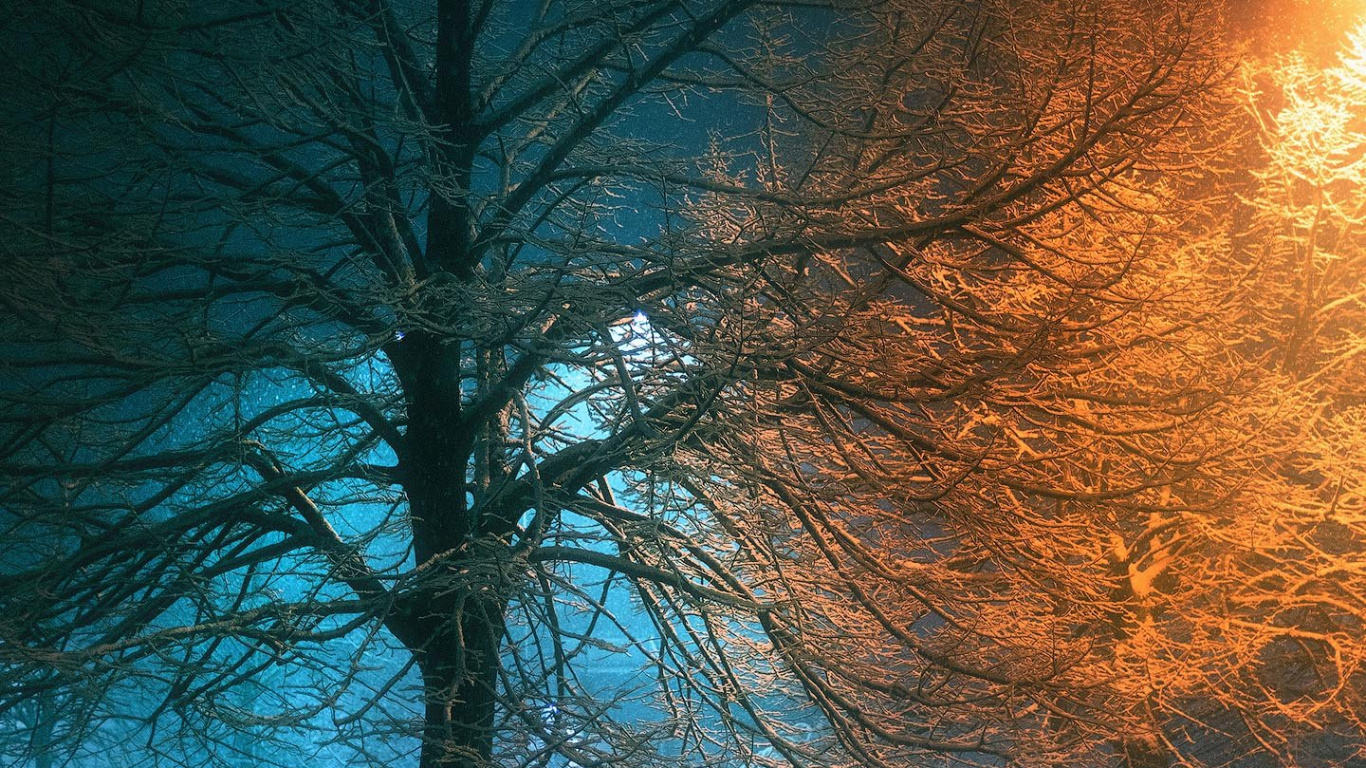 Nature, Lighting, Atmosphere, Plant, Natural Landscape. Wallpaper in 1366x768 Resolution