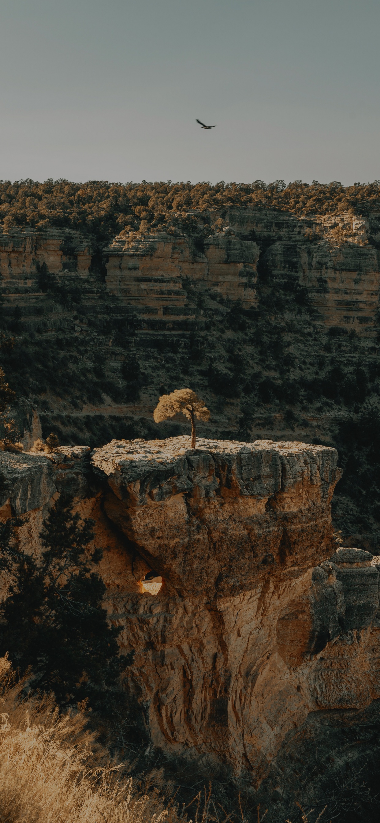 Sentier Des Anges Lumineux, Formation, Rock, Géologie, Faute. Wallpaper in 1242x2688 Resolution