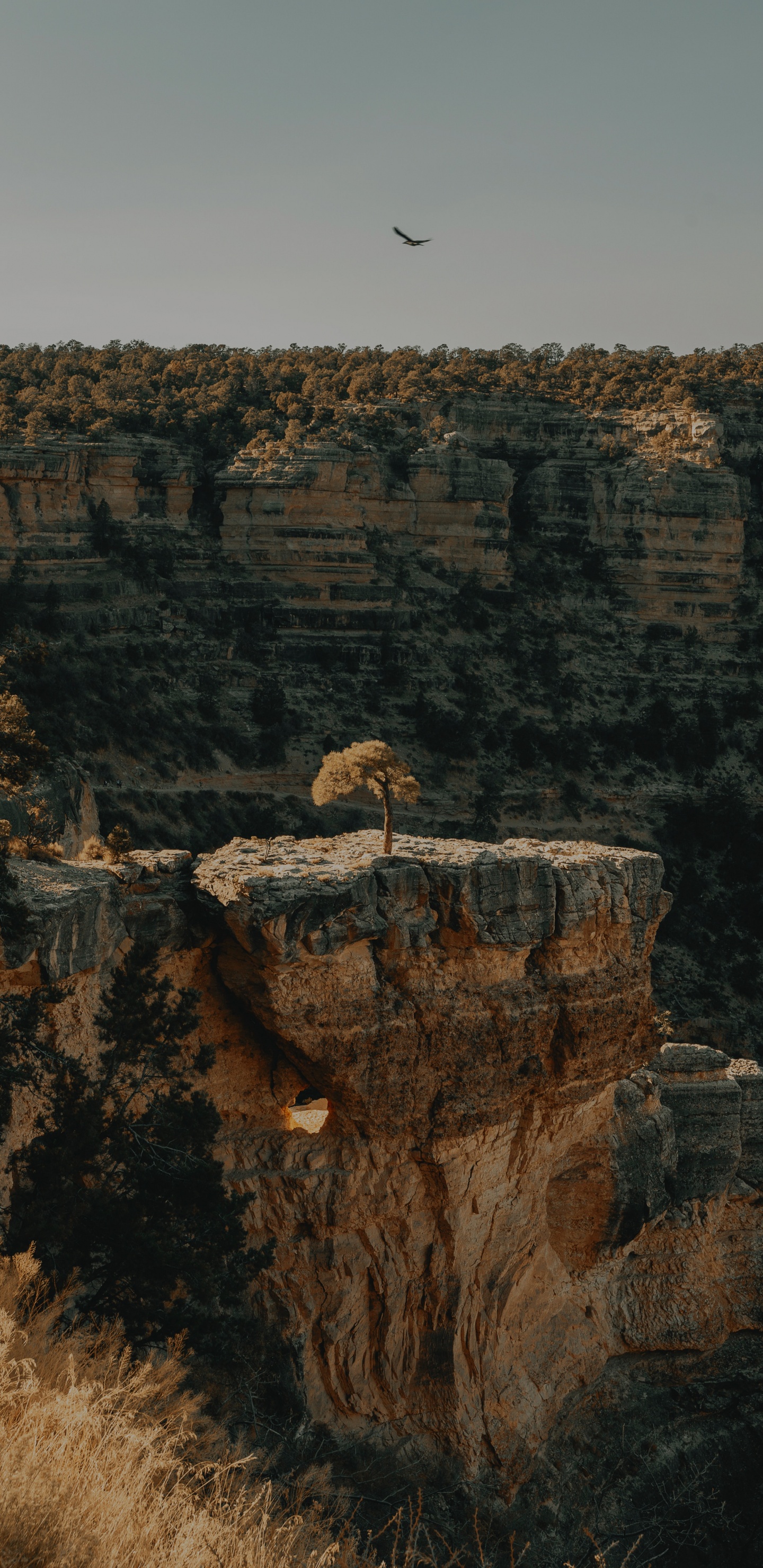 Sentier Des Anges Lumineux, Formation, Rock, Géologie, Faute. Wallpaper in 1440x2960 Resolution
