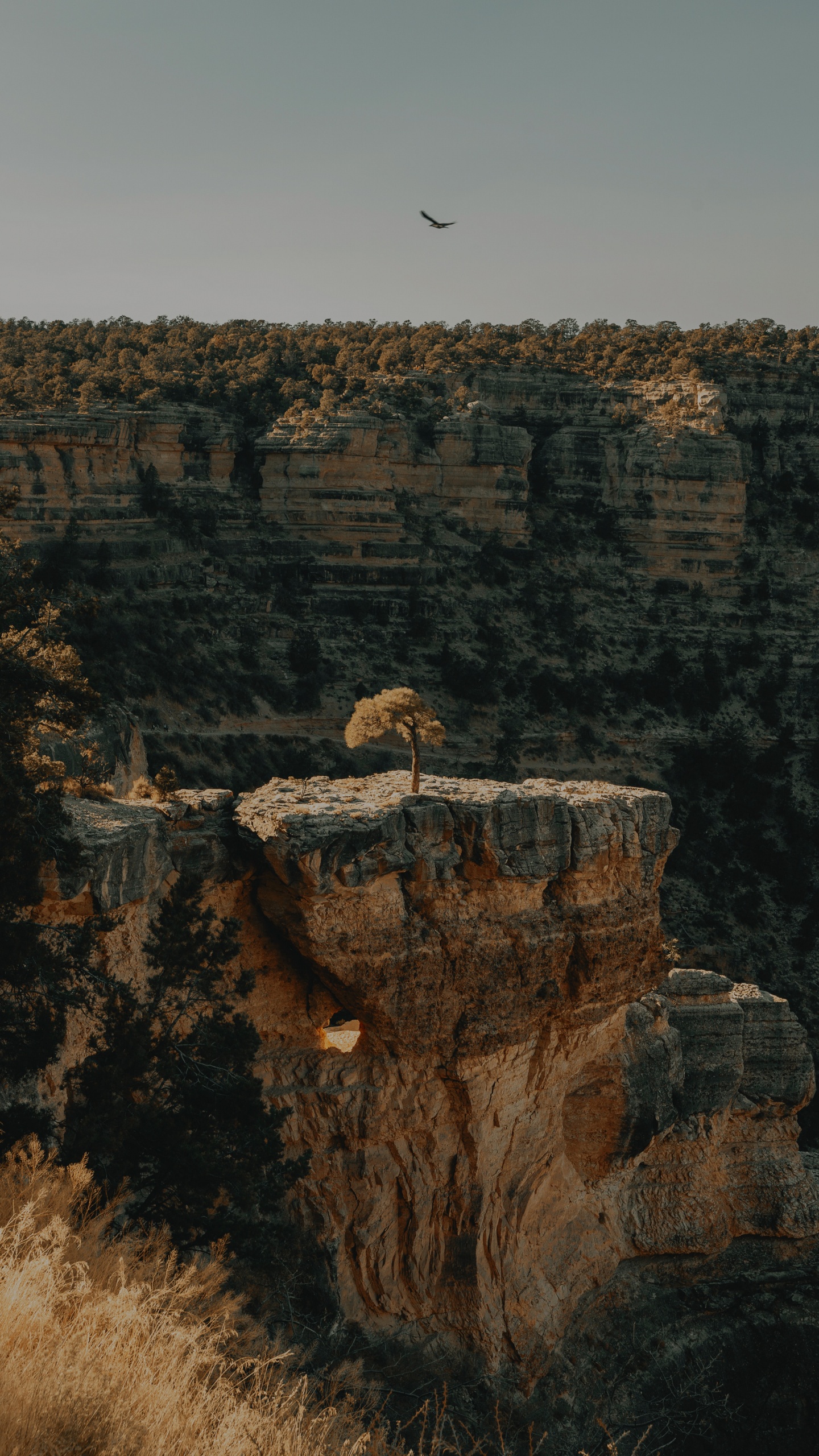Bright Angel Trail, Formation, Rock, Geology, Fault. Wallpaper in 1440x2560 Resolution
