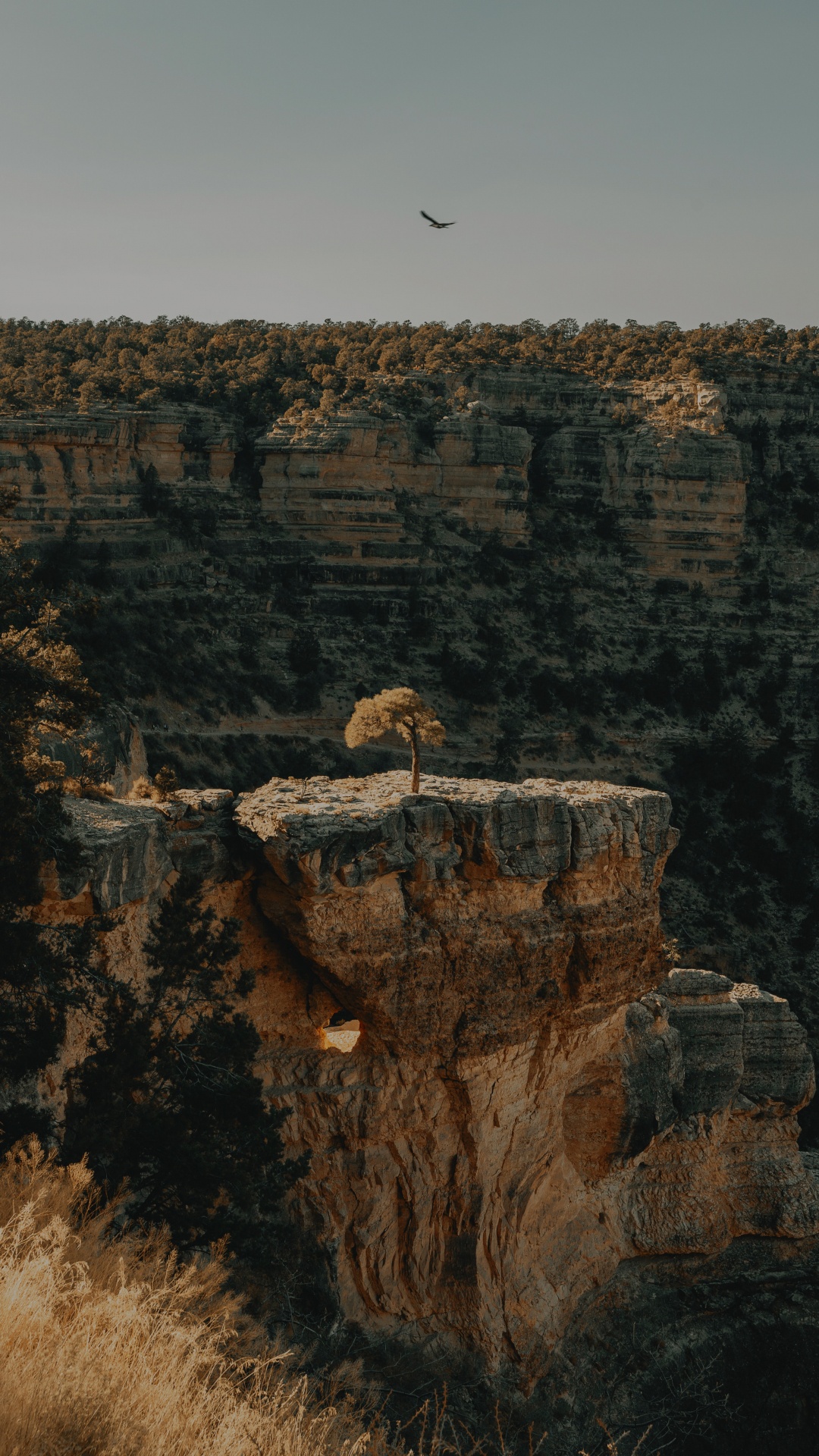 Bright Angel Trail, Rock, Geologie, Böschung, Aufschluss. Wallpaper in 1080x1920 Resolution