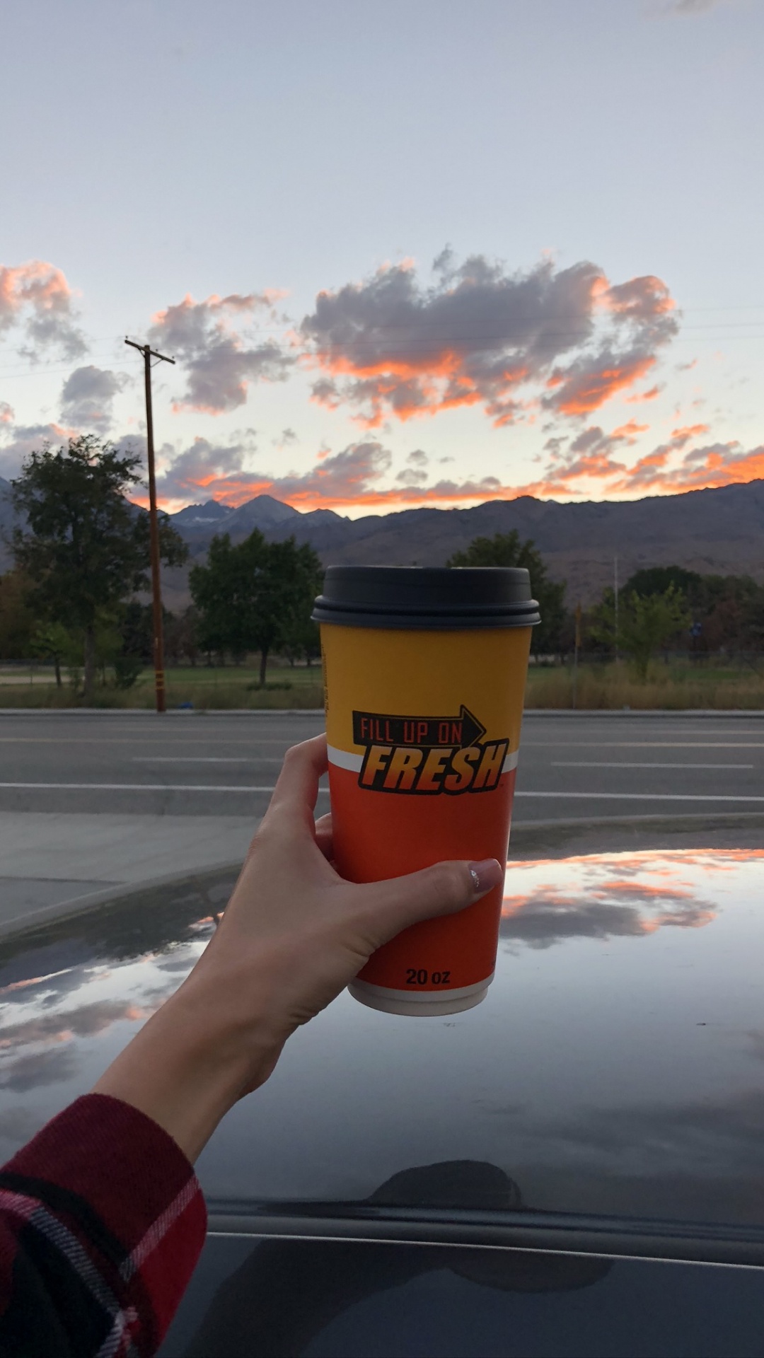 King, Family Car, Road Trip, Logo, Cumulus. Wallpaper in 1080x1920 Resolution