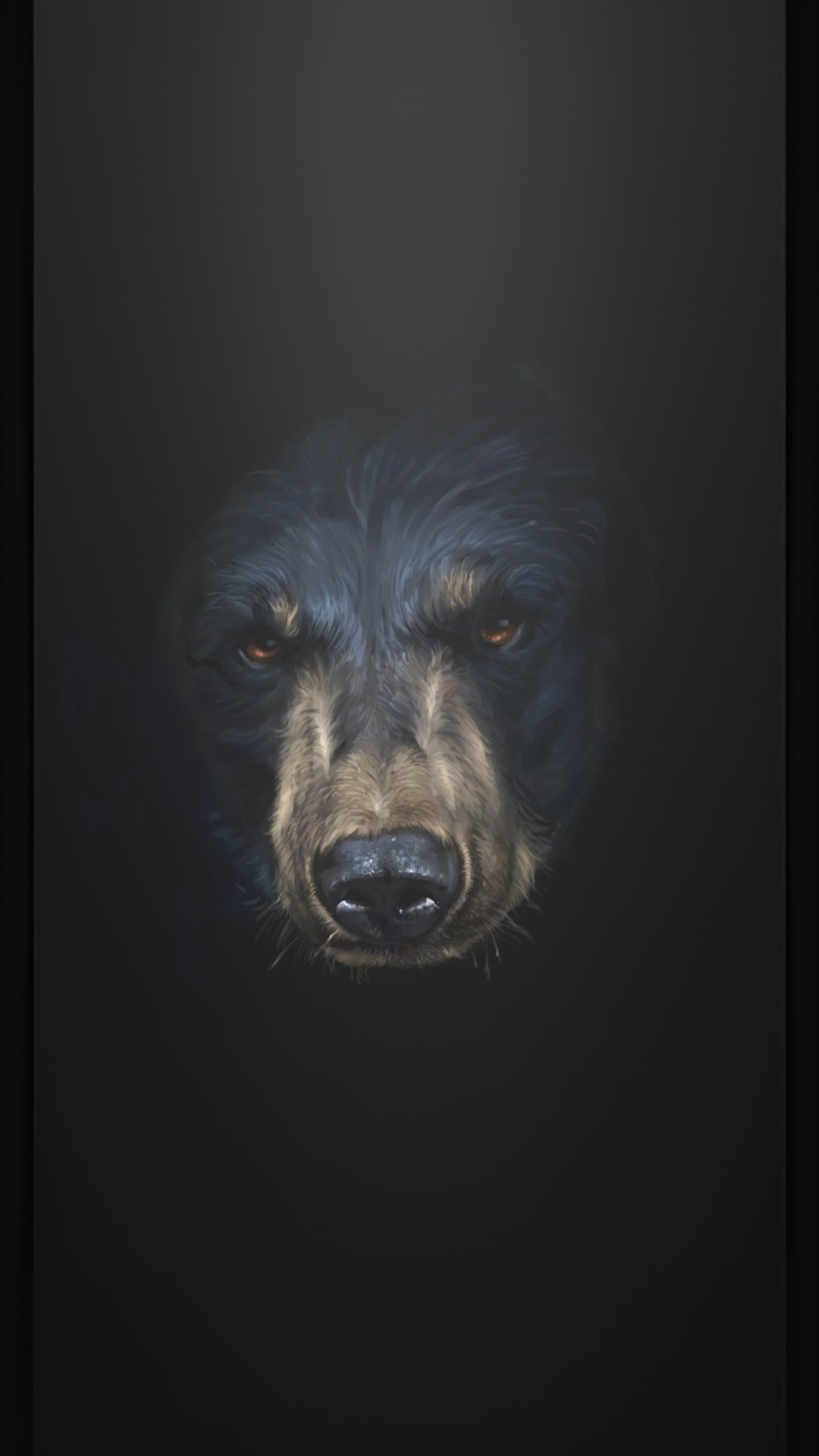 Snout, Dog, Carnivore, Dog Breed, Whiskers. Wallpaper in 1080x1920 Resolution