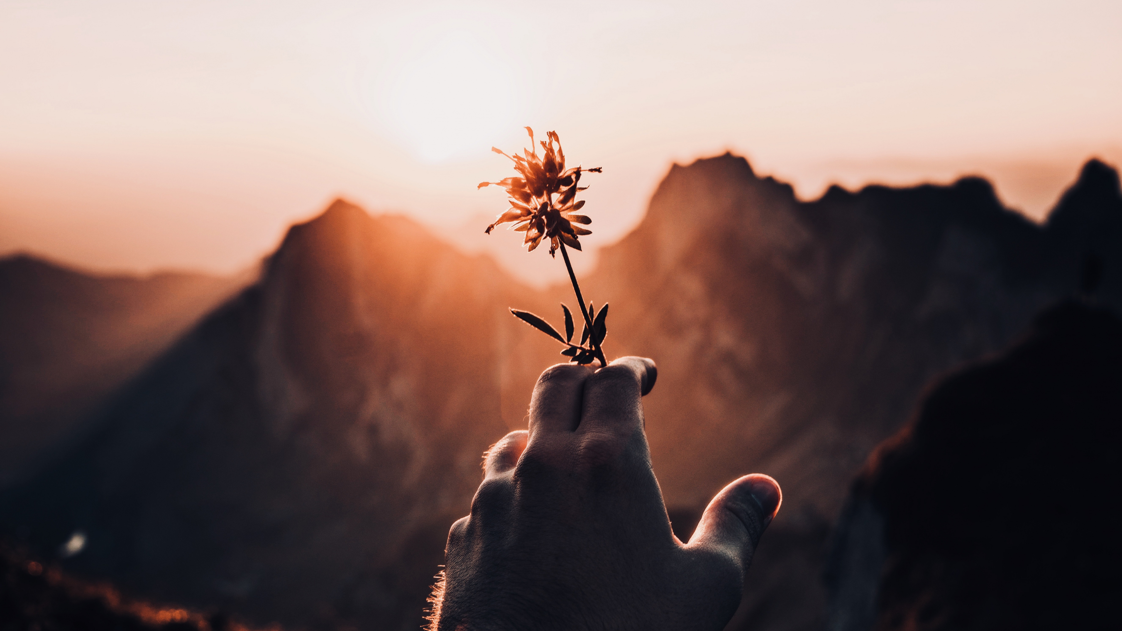 Personne en Chemise Blanche à Manches Longues Tenant Une Plante Verte Pendant la Journée. Wallpaper in 3840x2160 Resolution