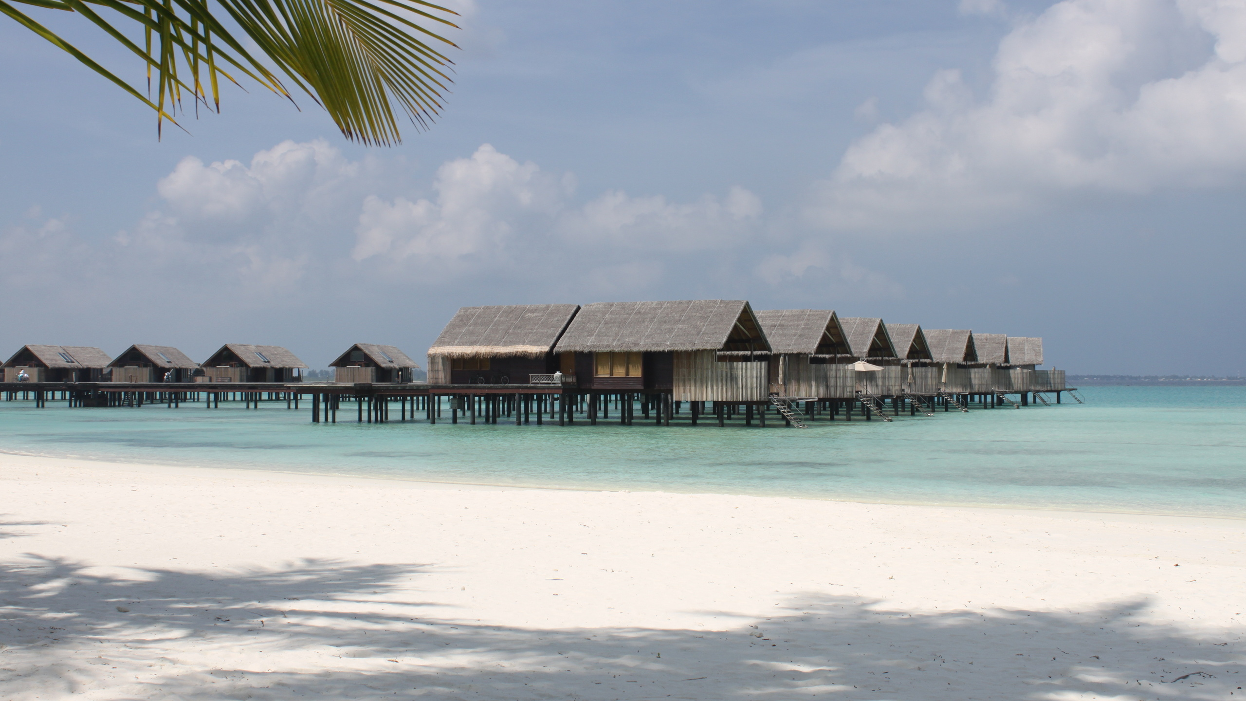 马尔代夫, 度假村, 大海, 热带地区, 加勒比 壁纸 2560x1440 允许
