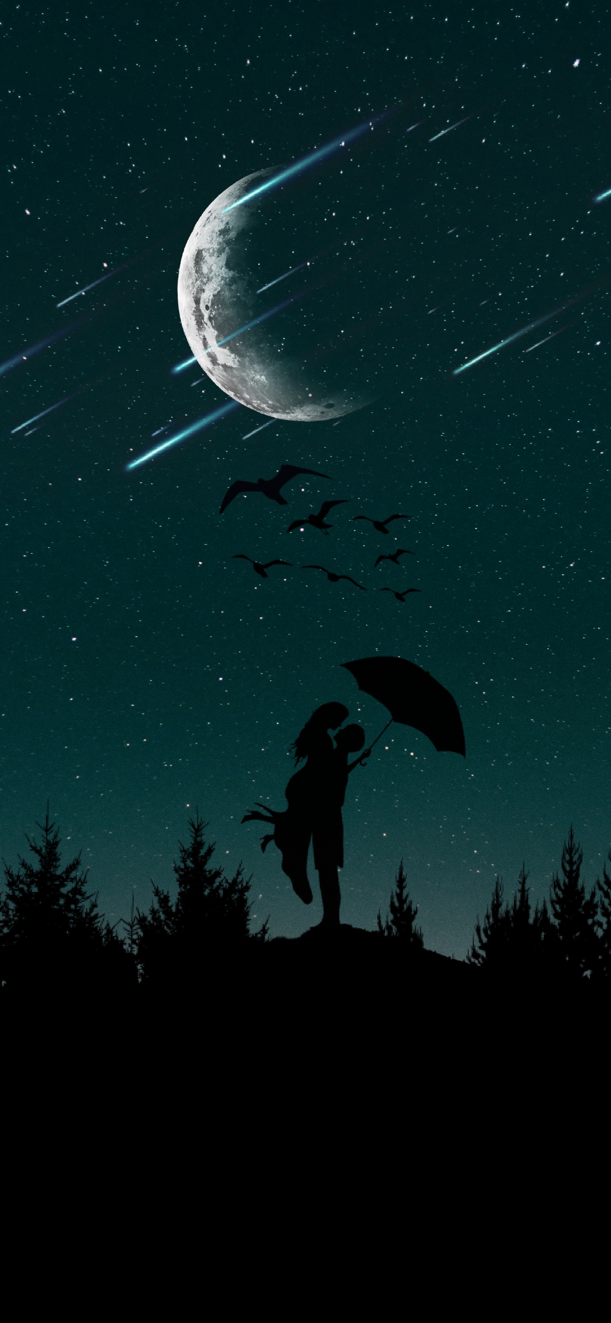 Mond, Silhouette, Romantik, Nacht, Crescent. Wallpaper in 1242x2688 Resolution
