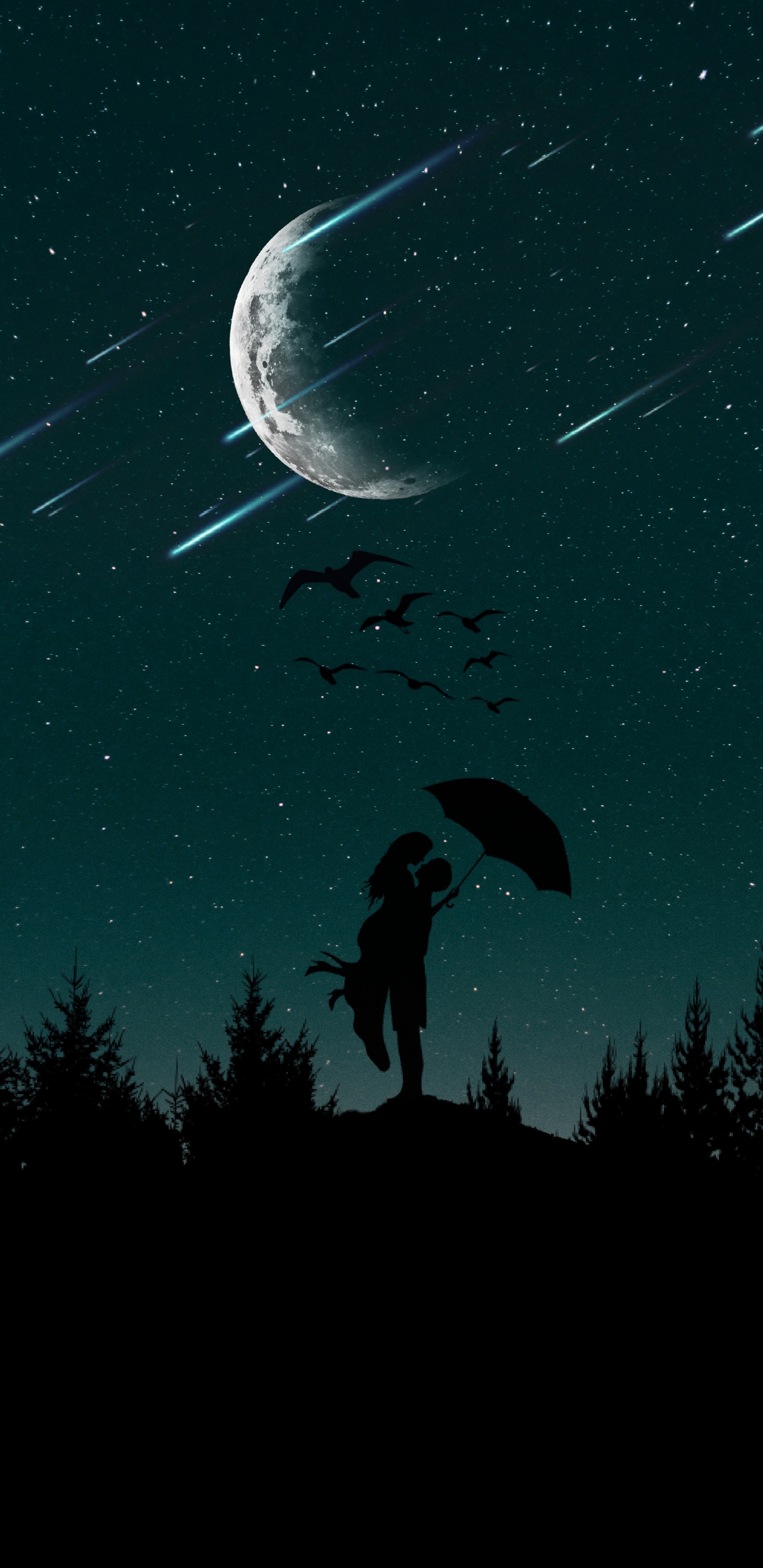 Mond, Silhouette, Romantik, Nacht, Crescent. Wallpaper in 1440x2960 Resolution