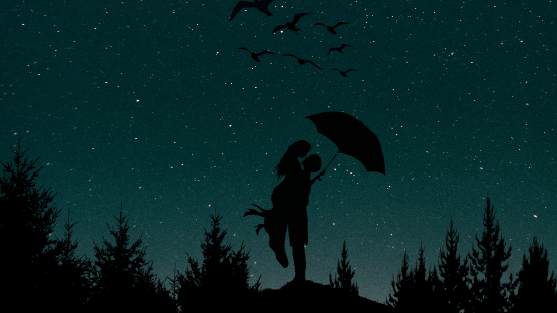 Silhouette, Nuit, Lumière, Minuit, Obscurité. Wallpaper in 1920x1080 Resolution